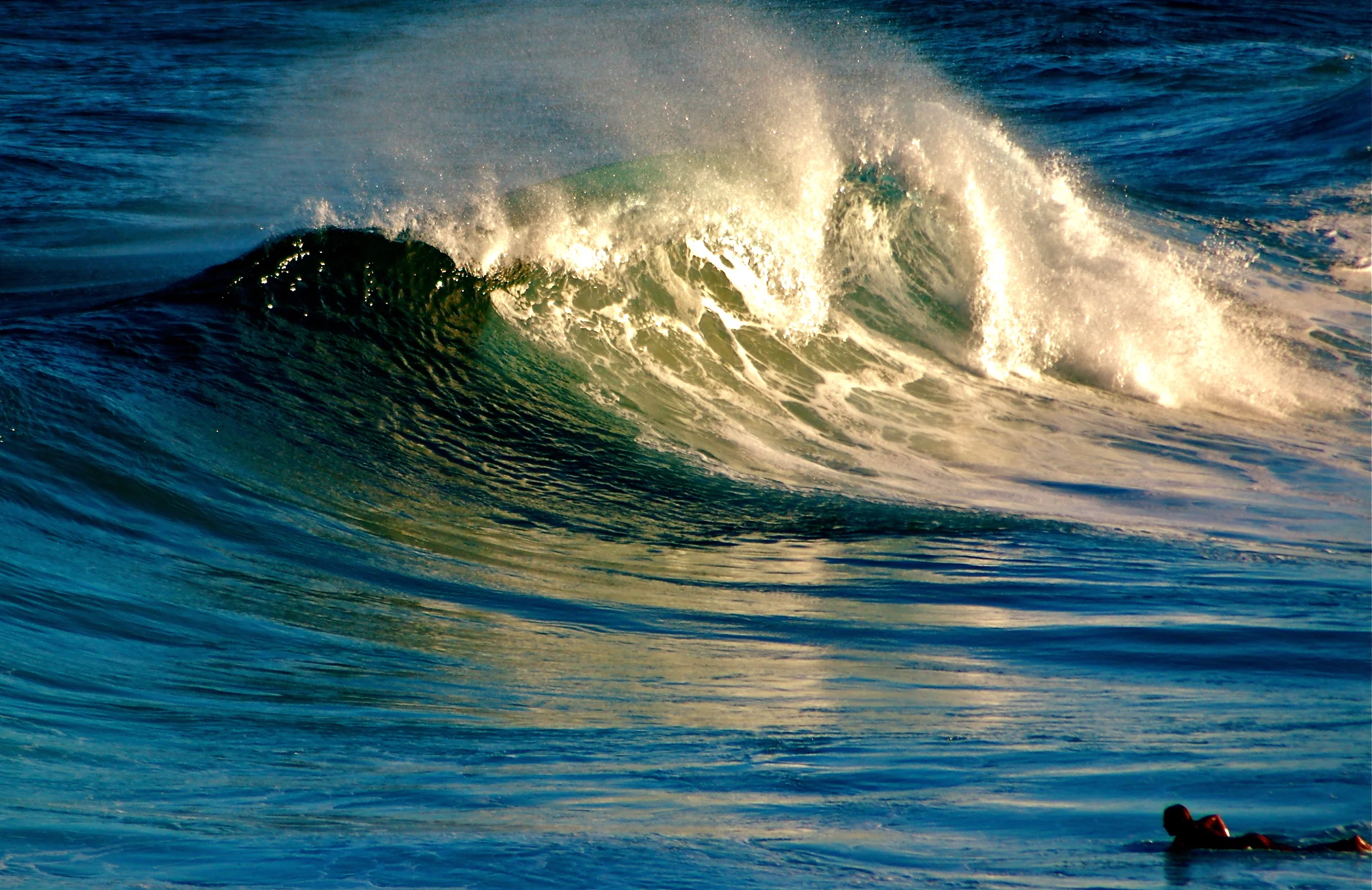 surf 13