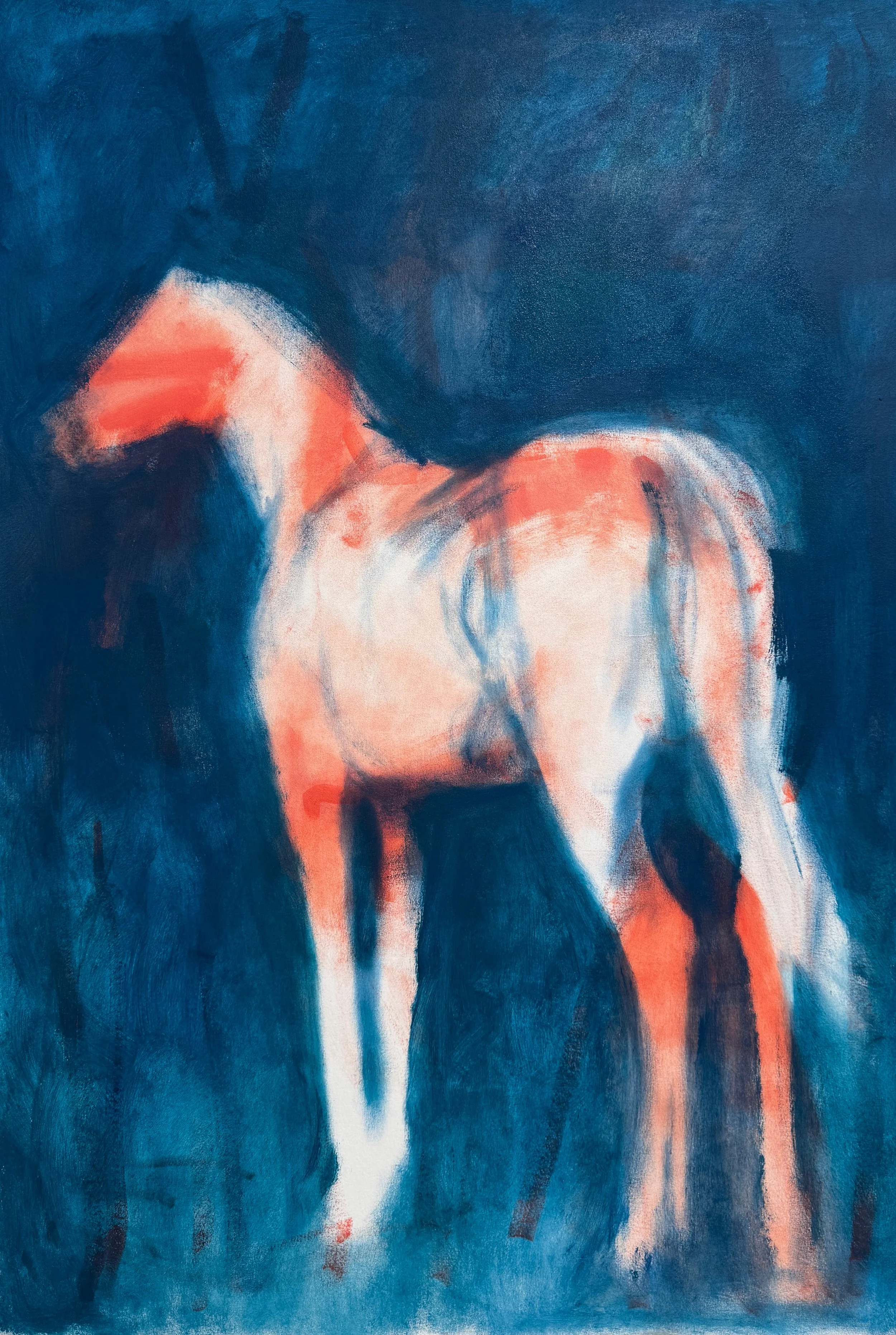 Blue and Coral Horse