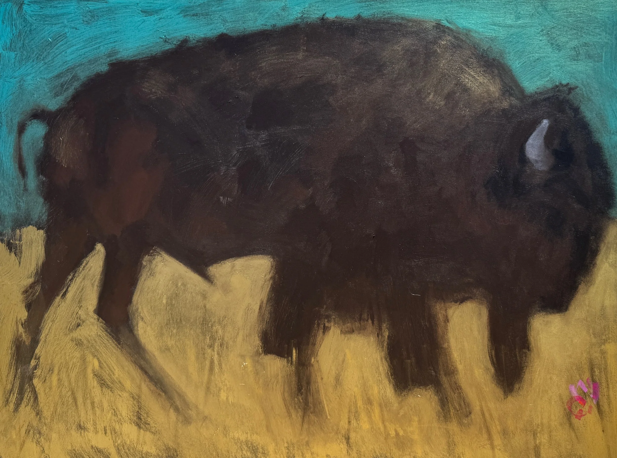 Bison with Wildflower