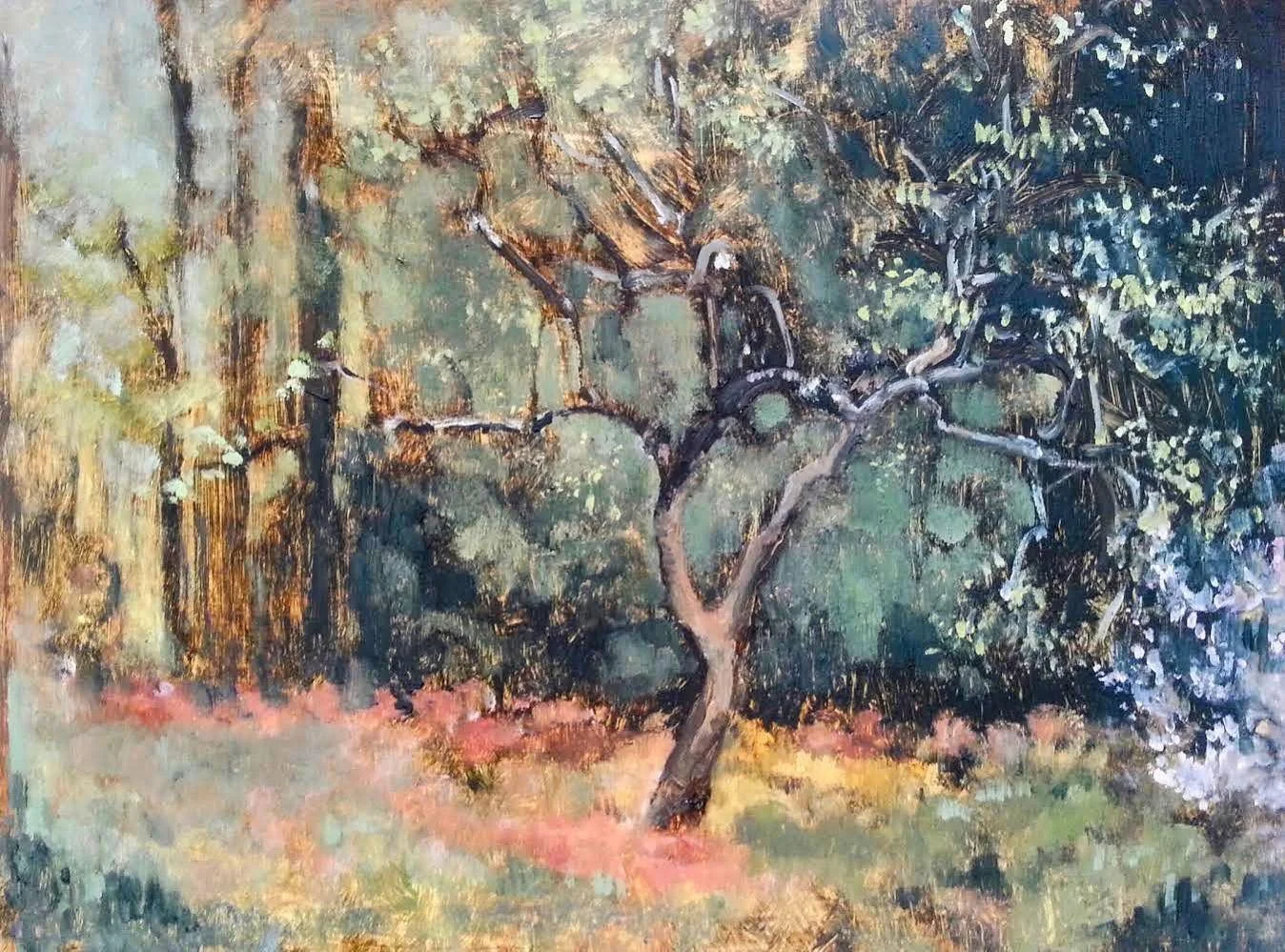 Spring Hawthorne.jpg