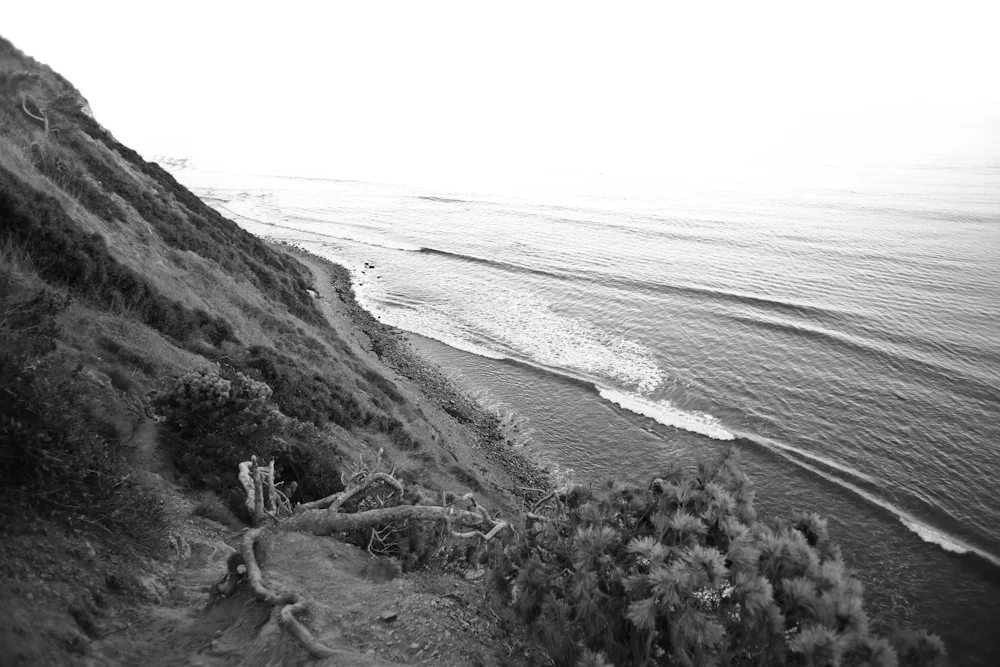 I decide to document the cliff adventure. My heart is still pounding and rush of chemicals from minutes earlier still linger.