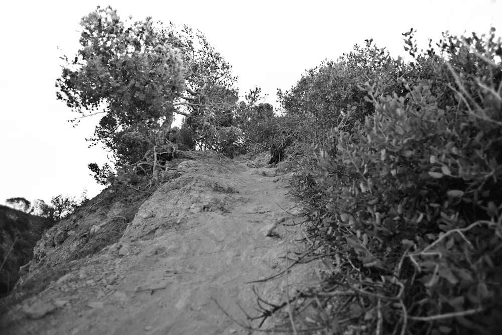 Looks like another vertical climb. Thank you for whoever put that string tied to the roots. Thank you!
