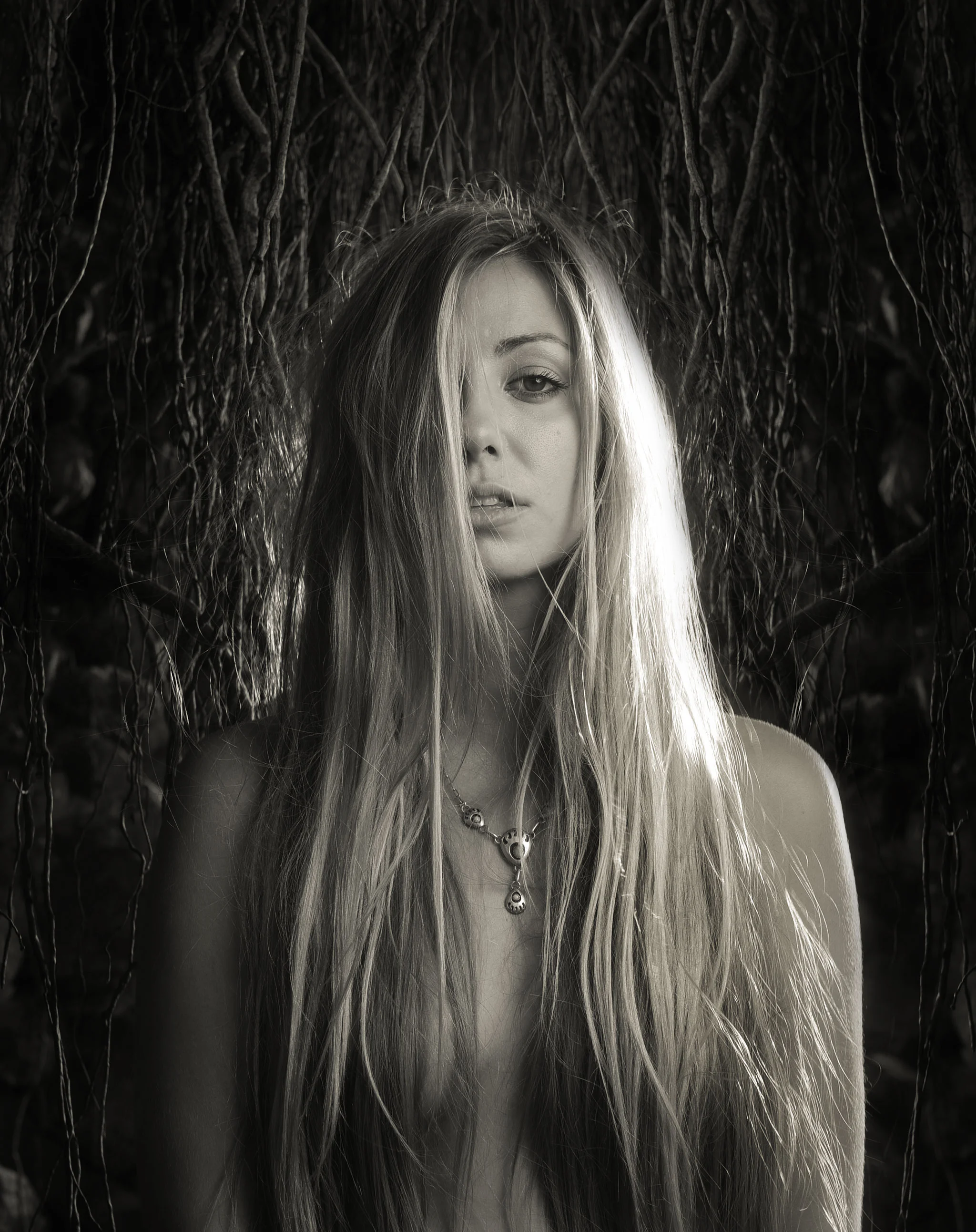 annelise cherie
