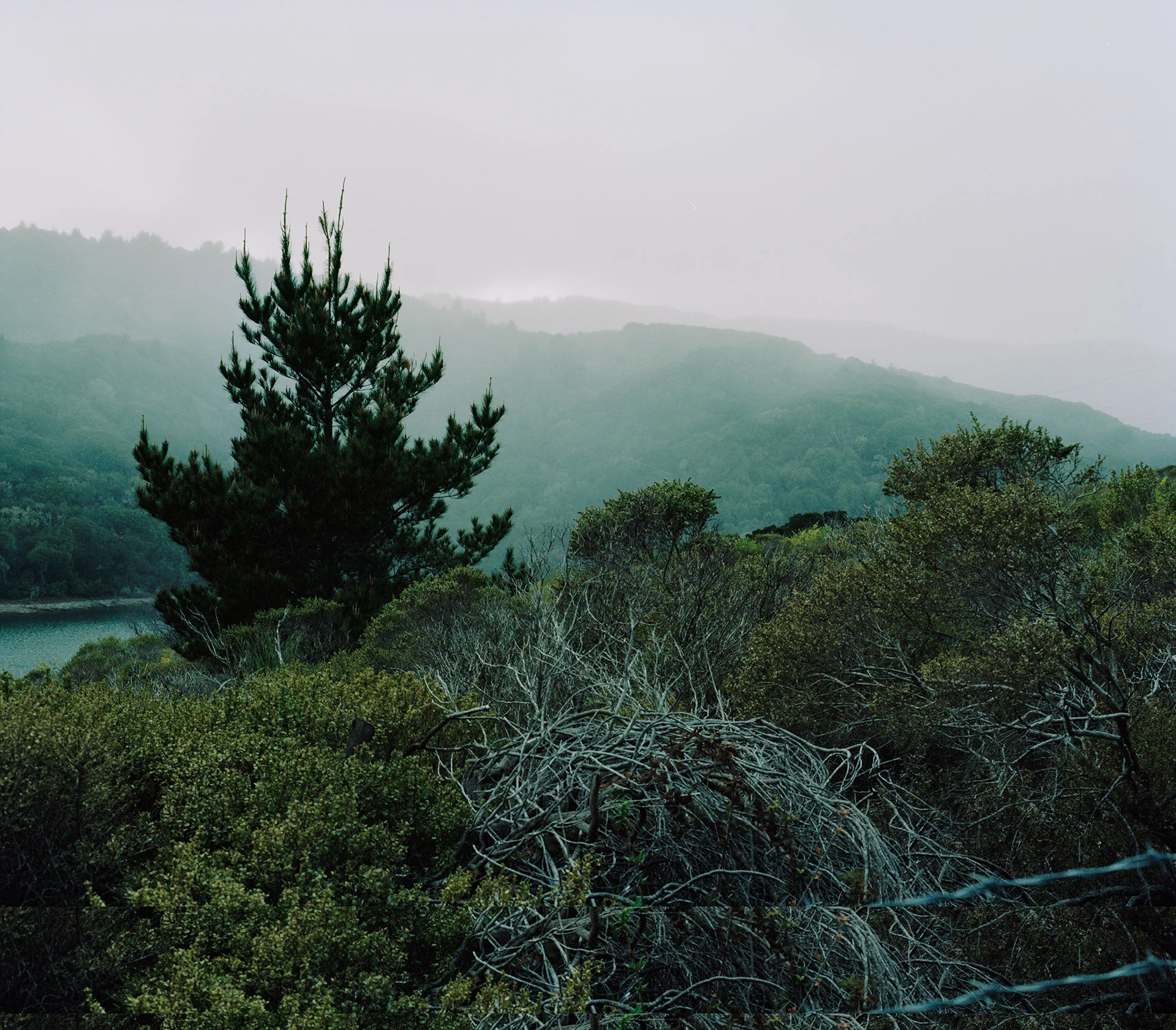 landscape1.jpg