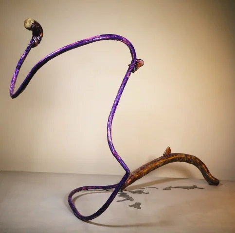 Alleged Cure for Cancer_3.jpg