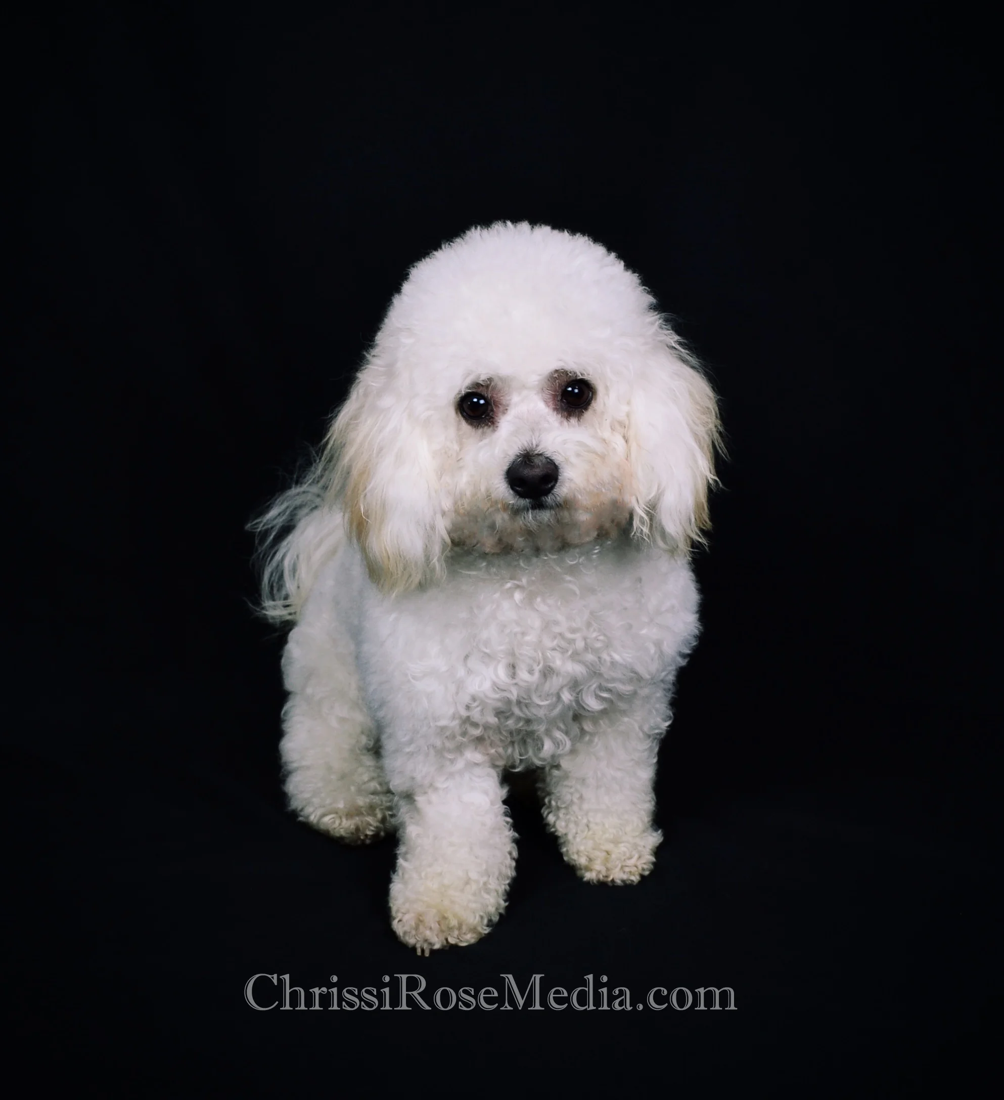 DaisyMayIMG_1477_W.jpg