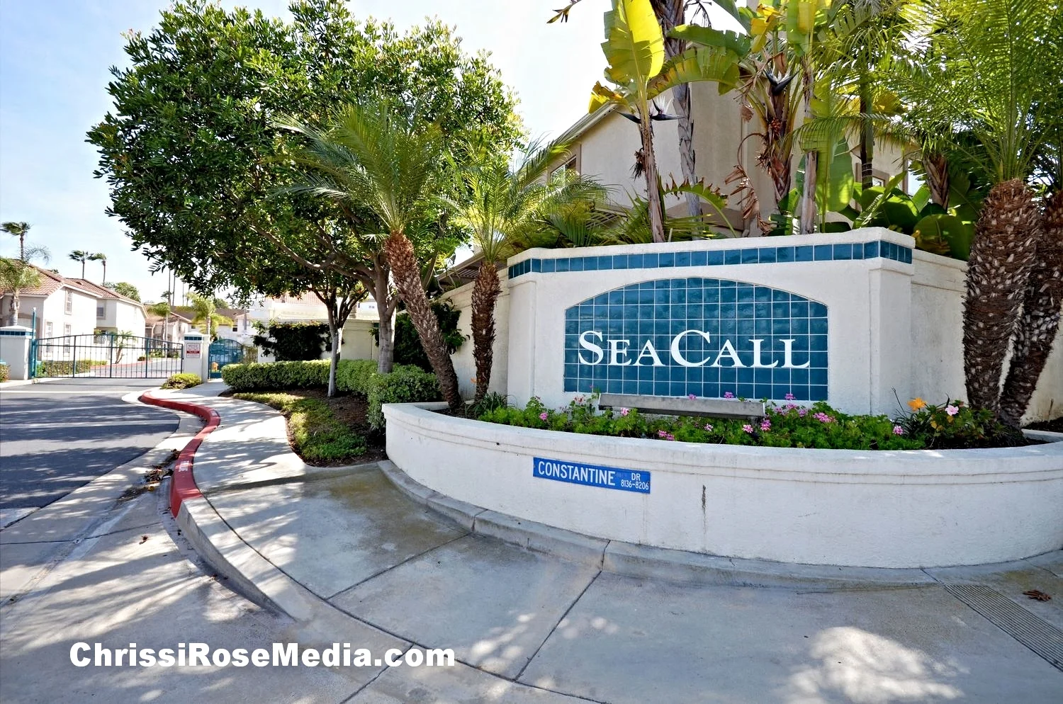 SeaCall_DSC_0291PC.jpg