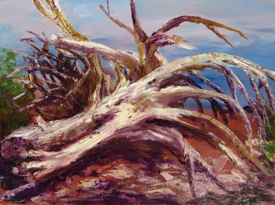 DeadWood-email.jpg