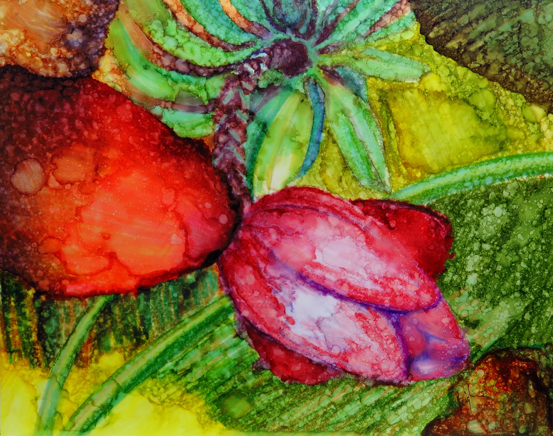 "Blossom to Fruit: Short Plantains", ink on yupo