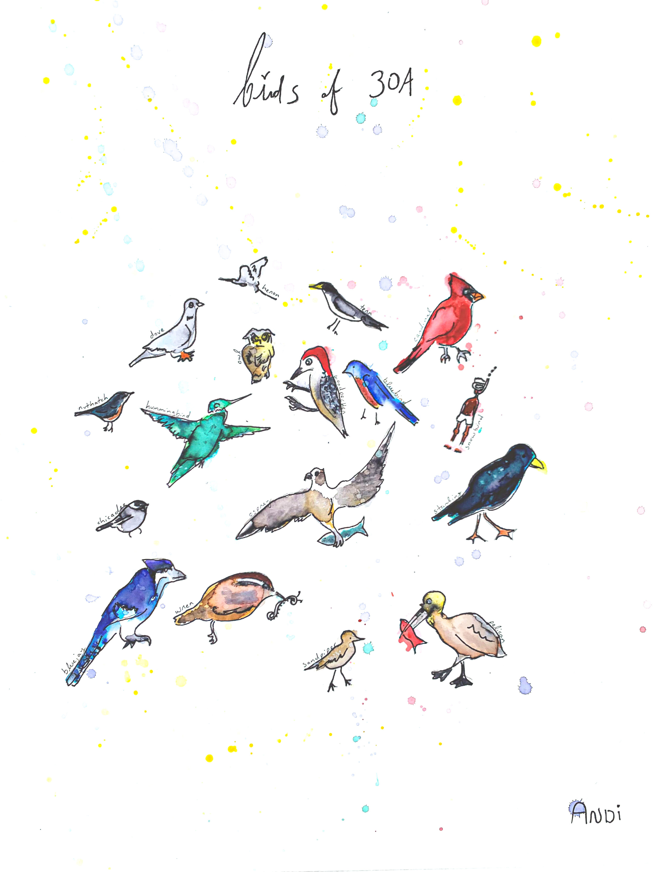 Colorful Birds of 30A