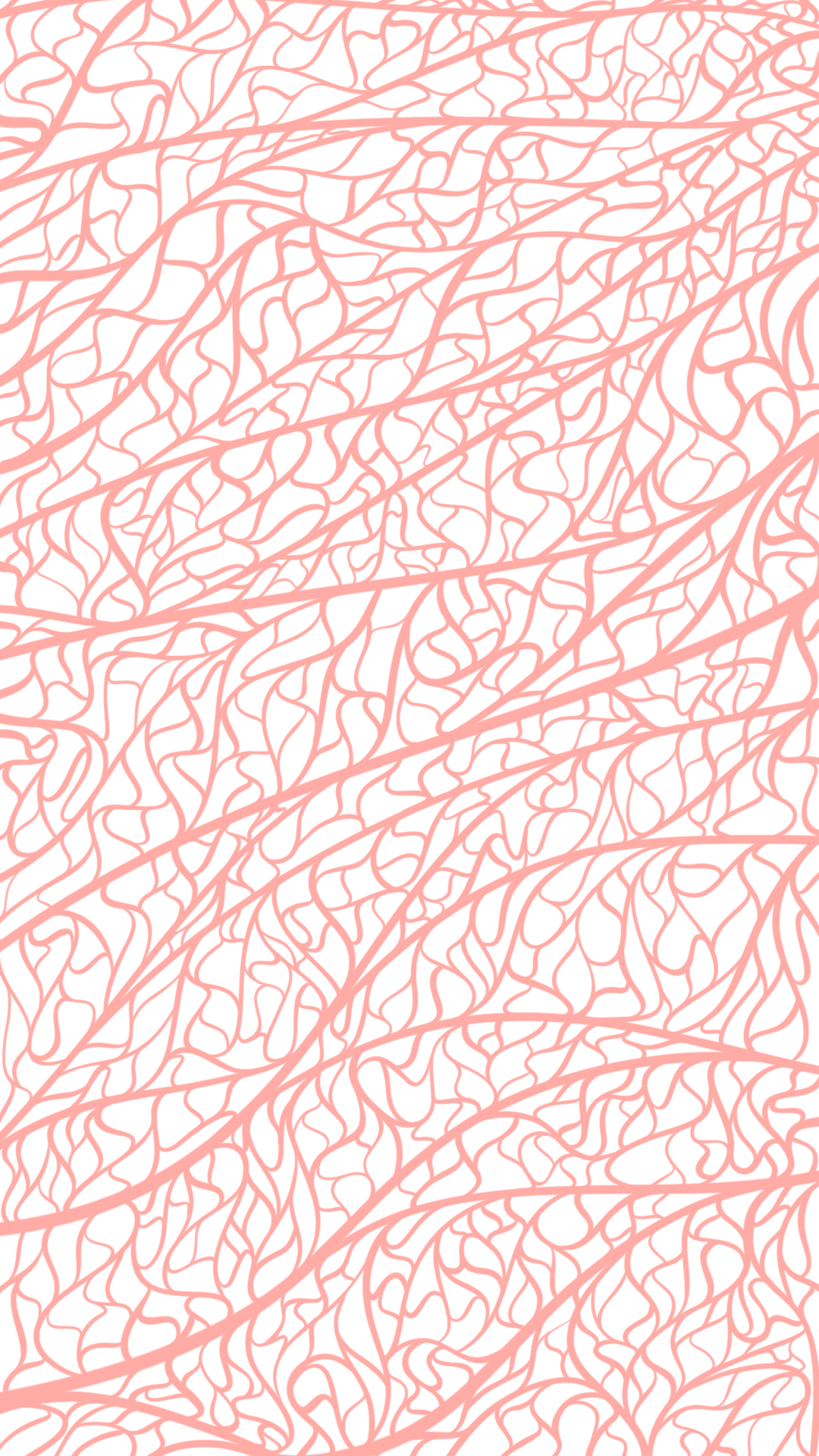 19B0EB16-5DD2-4DA3-BA78-E5A5C2754459