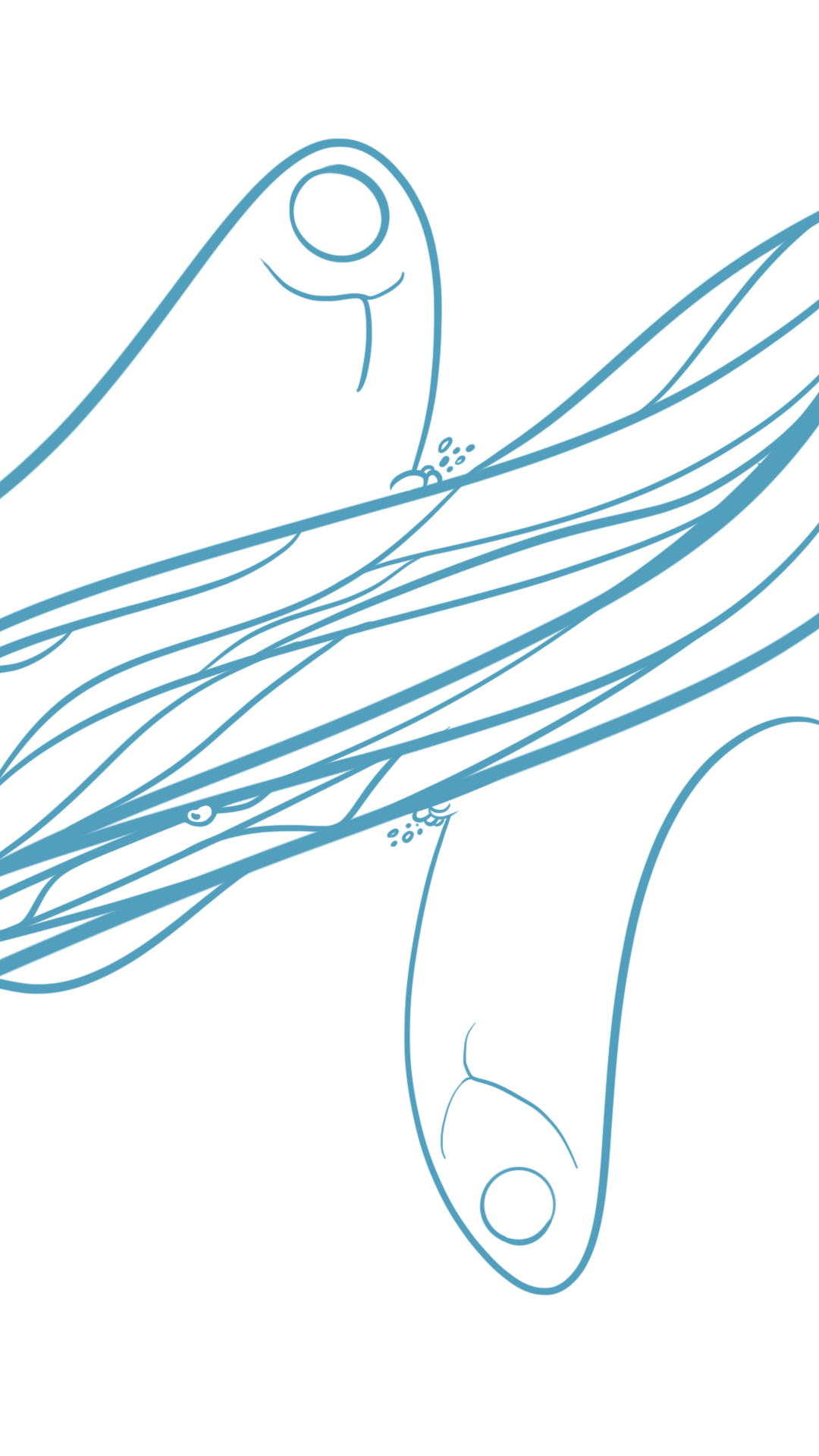 DBBFF40A-DE5C-4562-B781-2F06398EF1F4