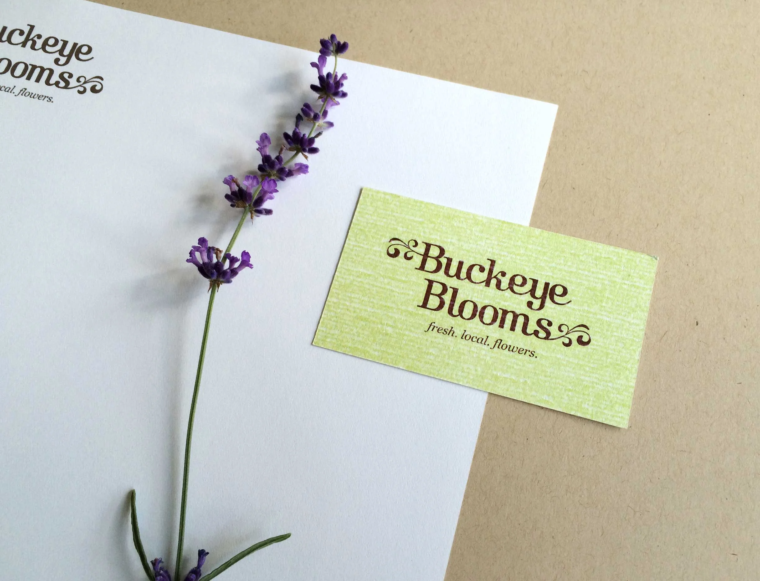 buckeye-blooms-1.jpg