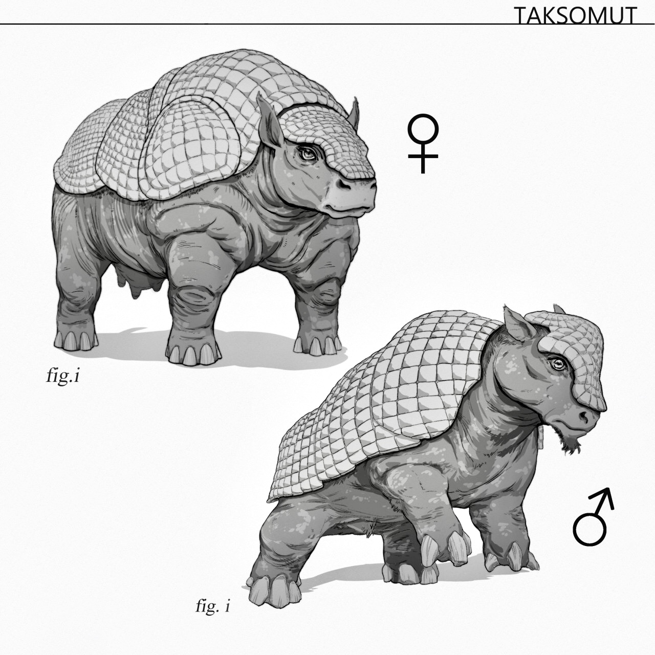Taksomut Taksomut, of the genus aurochs, are livestock characterized by a muscular frame and armored shellback composed of keratin. Though their milk has a sour quality when compared to that produced by other species of aurochs, the quantity which they are able to produce makes them an invaluable resource for societies residing in arid climates with limited access to fresh water. Taksomut are able to produce a limitless supply of milk with only dry brush and grass as their nutritional requirement. Scholars theorize that they are able to pull moisture from the air through microscopic chambers in their hardy armored shellback, allowing them to thrive in deserts and badlands where other animals are more likely to perish. Sex specific features of males and females may vary to some degree. Females are typically larger and their armored shellback is thicker and contains a higher density of microscopic fluid chambers. This evolution is likely meant to accommodate the burden of gestation, to protect offspring during times of drought. The male taksomut is sleeker and leaner in body, but the shell on their foreheads is thicker and more robust. Males will butt heads with other males to compete with one another, even outside of mating season. Their limbs are also significantly stronger and clawed; an adaptation for digging shelters under the earth that provide moisture and shade in their arid habitat, as well as safe havens for taksomut 'Camelots'. These Camelots consist of groups of taksomut with young offspring.