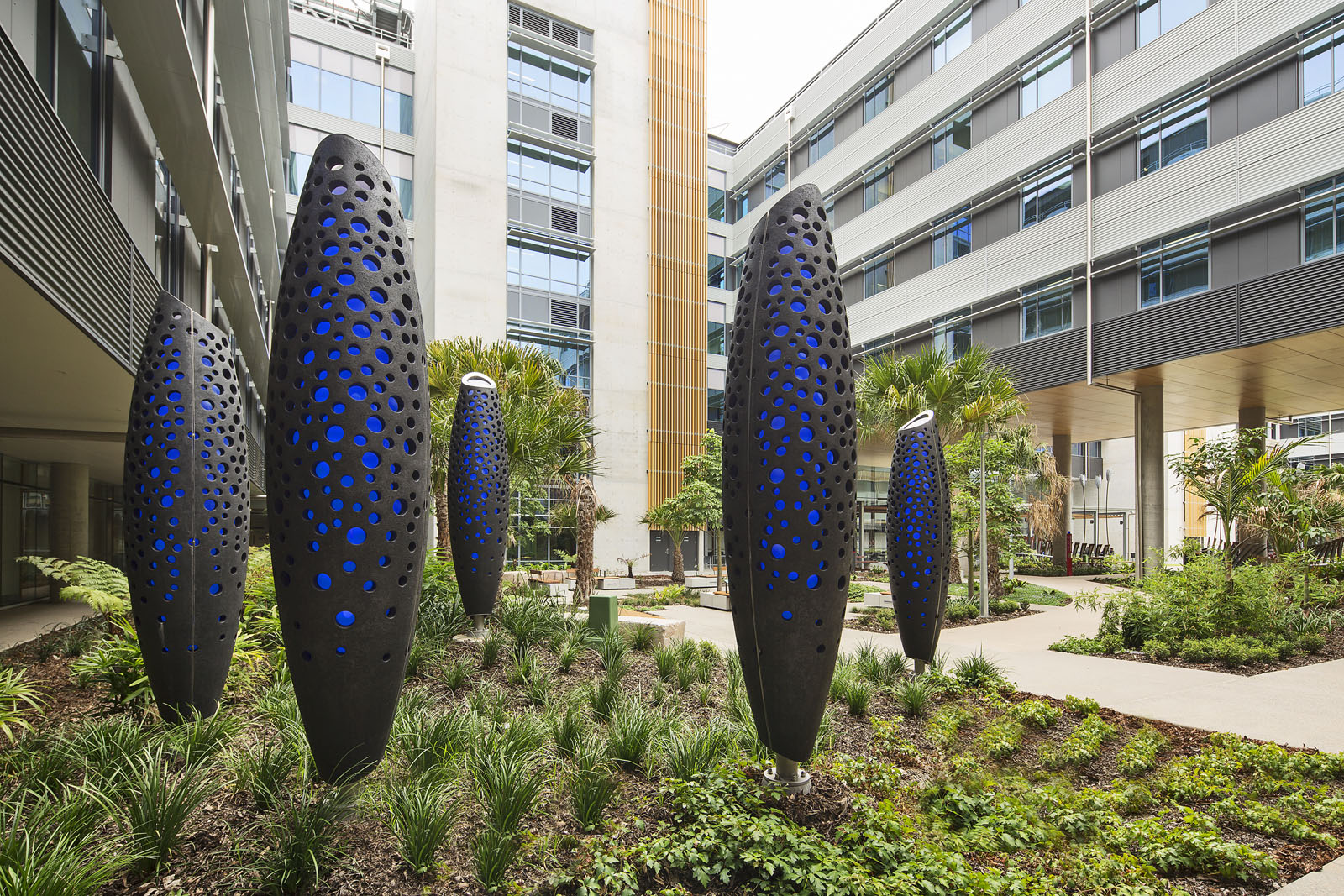 Sunshine Coast University Hospital