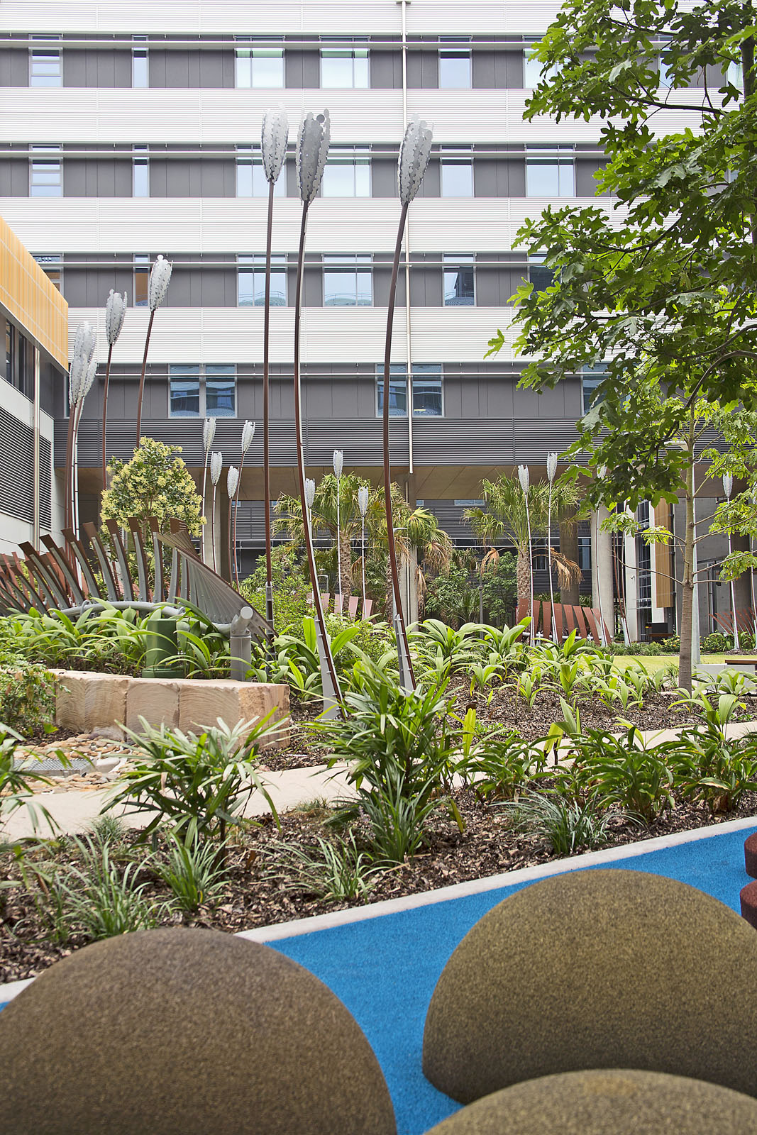 Sunshine Coast University Hospital