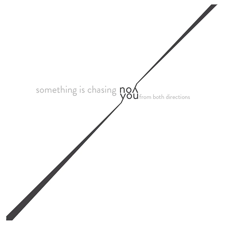 Something Is Chasing You. Available in vinyl.