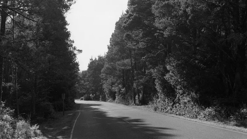 56_Adams_Nehalem-Spit-Oregon-2013.jpg