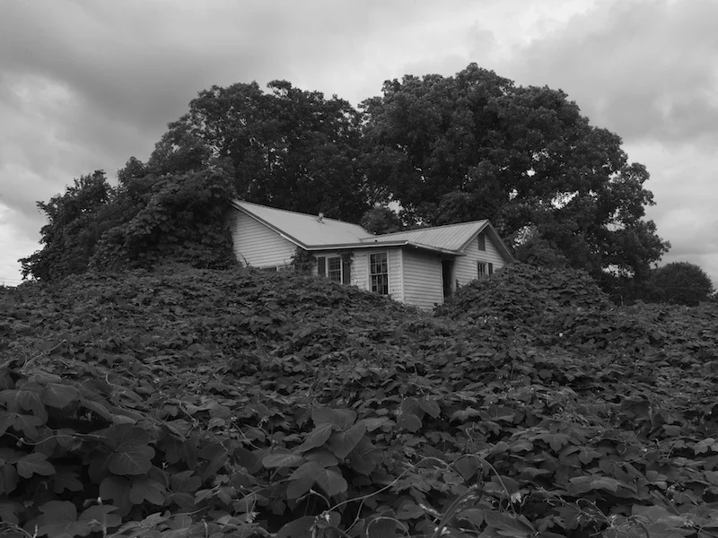 Alec Soth, Near Gainesville, Georgia , 2014. Courtesy Fraenkel Gallery, San Francisco. © Alec Soth