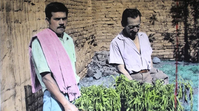 Andres-Felipe-Orjuela-Traficantes-de-coca.jpg