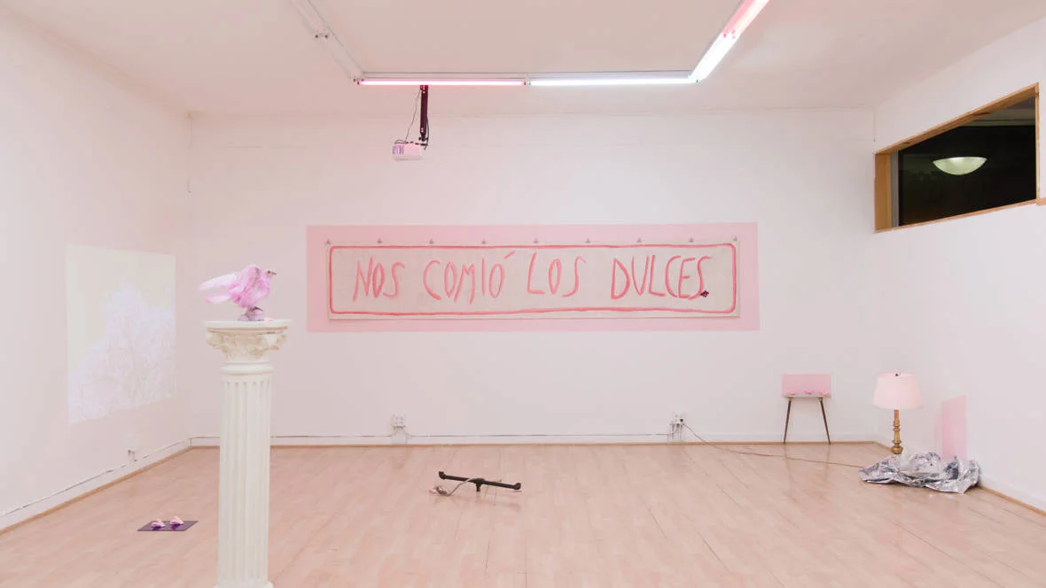 Installation view of Sofía Córdova's 'The Gentle Voice That Talks To You Won't Talk Forever.' ( Courtesy the artist and City Lights Gallery; Photo by Graham Holoch )