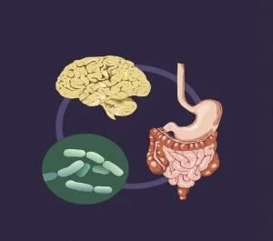 What Does My Belly Have to Do with My Brain?