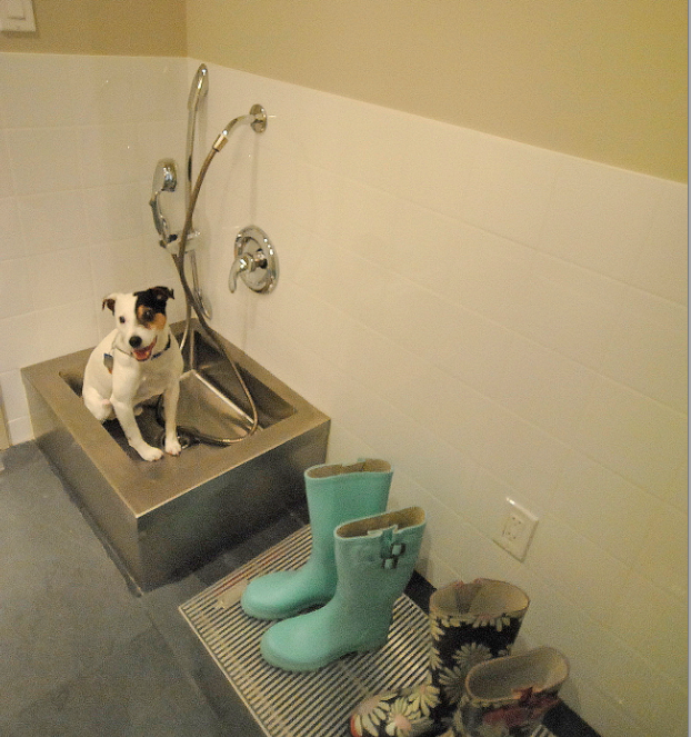 Dog Wash crop?.png