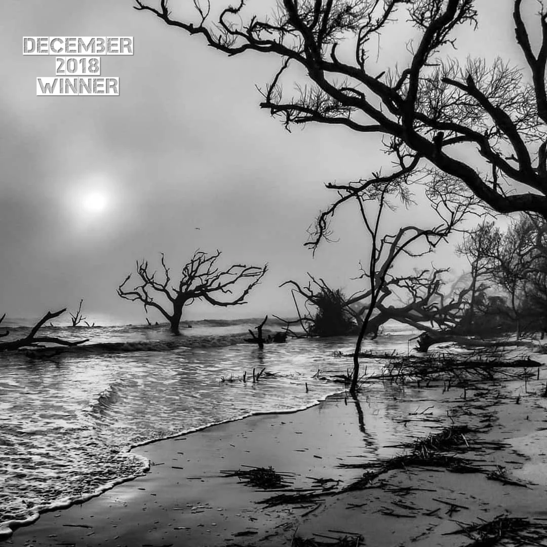 December 2018s theme was “Black & White”! I always love the contrastie world of B&W. Congrats to Retta Stephens , you are the winner of the G.O. Newsletter Monthly Photo Contest! This image is very powerful. The judges all brought up different reasons why they picked this image. The composition and the balance created by the trees and the way Retta chose to frame them. The 3 distinct tonal range, the bright sky, the black trees, and the gray sand. This really does give the image a simple sophistication that makes it pleasing to the eye. One of the judges totally liked it for what I love this image for, the intense emotion and story that I feel as soon as I look at it. When I look at this image I actually feel the unsettling chaos that the image portrays. The fog creates an endlessness because there is no horizon line. The twisted broken trees almost look like they are trying to pull themselves to shore to escape the pounding surf. The rough water and crashing waves makes me feel as if a terrible storm has battered this coastline. I have been to this beech before, with bright blue sky’s and sun this is a beautiful and almost magical place. This B&W image feels so different and I get the feeling this feels closer to the truth of what really happened here. Beautiful shot Retta and Congratulations!