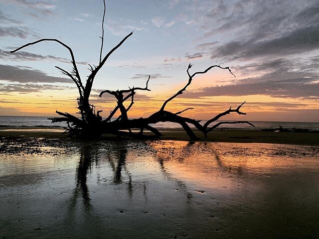 Today is a new day! #sunrise #sunset #driftwoodbeach