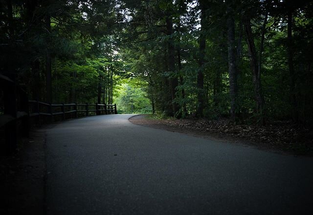 And out of the darkness comes light. #road #hiking #camping #outdoors #forestroad #trees #scenicdrive