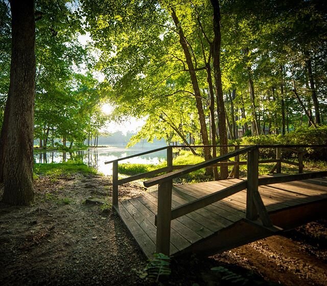 From inside the green room looking out. Anyone going hiking this weekend? #outdoors #nature #hiking #greenroom #green