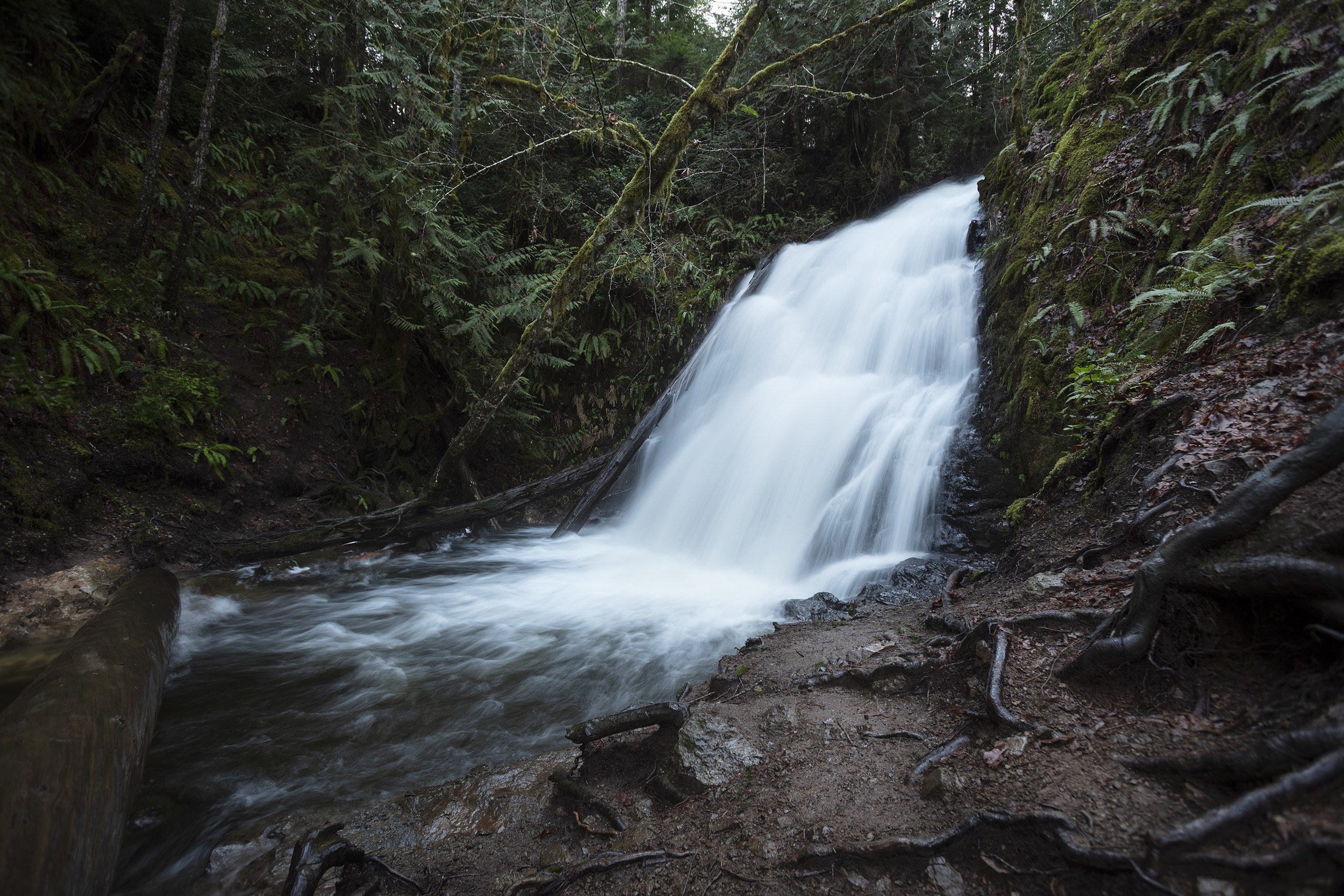 Dickerson Creek Waterfall | Washington Prints PNW Nature Art Landscape Photography Metal Canvas Home Decor