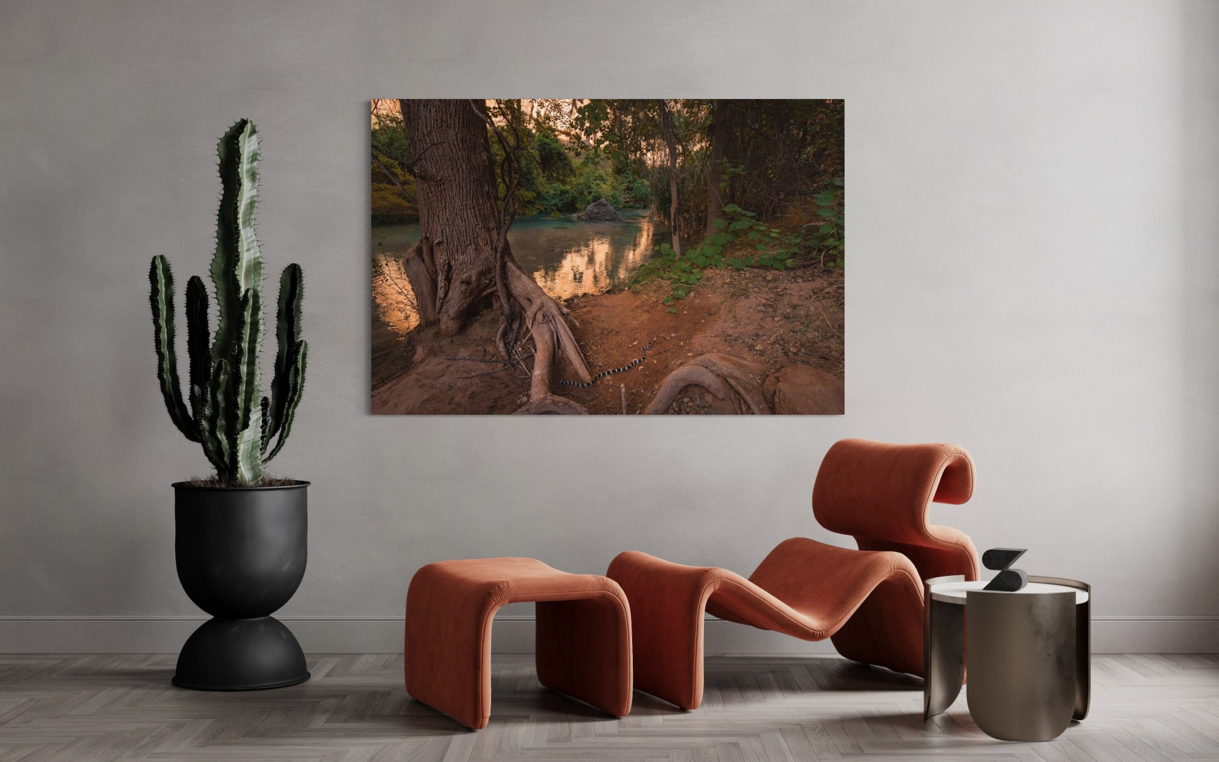 King Snake Havasu Creek | Supai Arizona Wall Art Waterfall Photography Home and Office Decor