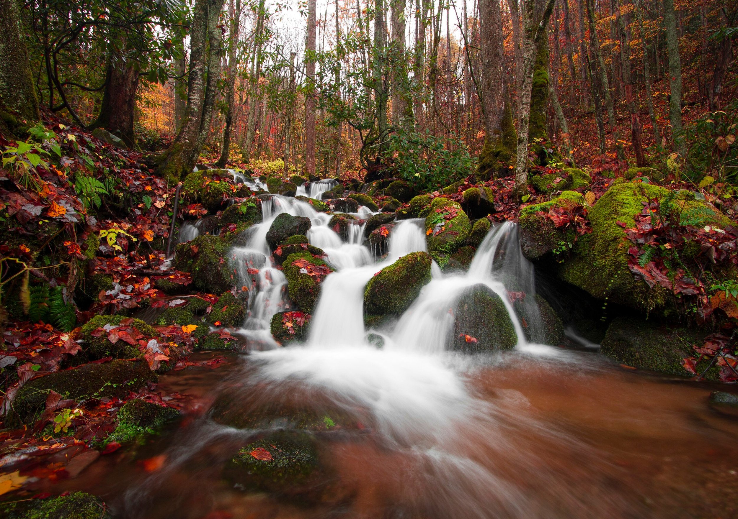 Autumn Streams | Smoky Mountain National Park Blue Ridge Mountains Wall Art Landscape Photography Metal Prints Canvas