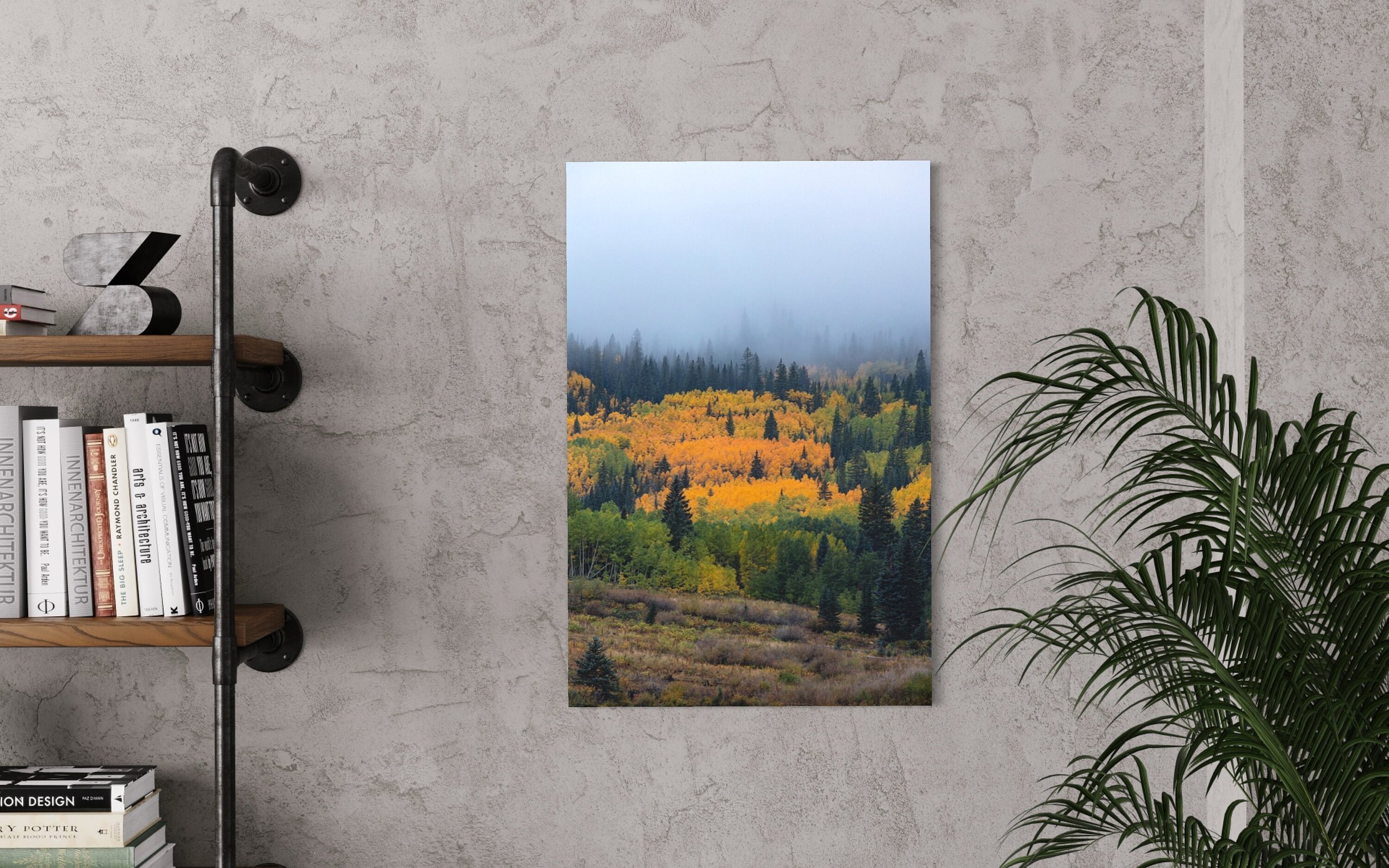 White River National Forest | Aspen Colorado Prints Tree Art Canvas Metal Landscape Photography Home Decor