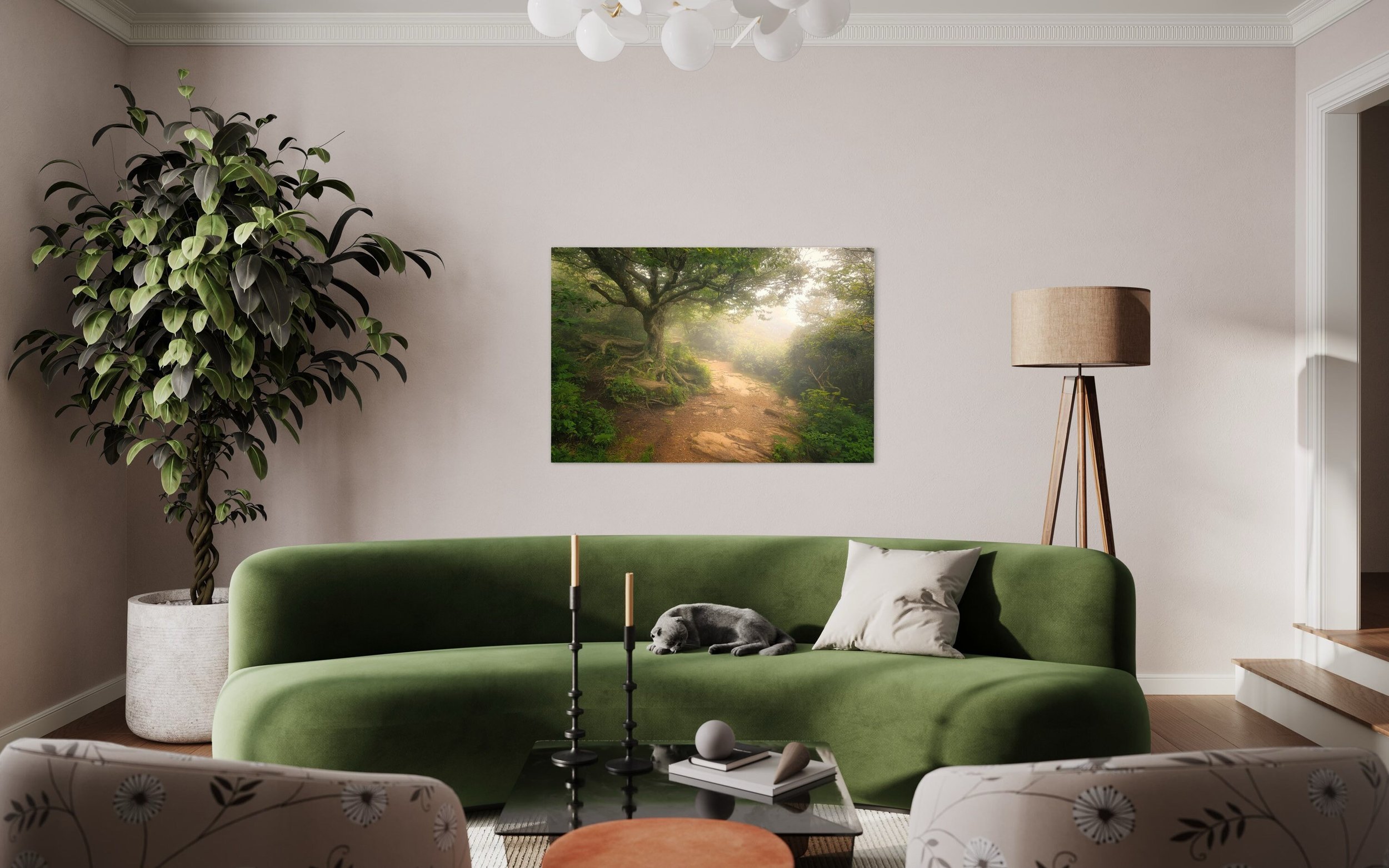 Craggy Pinnacle Tree | Asheville North Carolina Photography Sunrise Metal Prints Canvas Nature Wall Art Home Office Decor