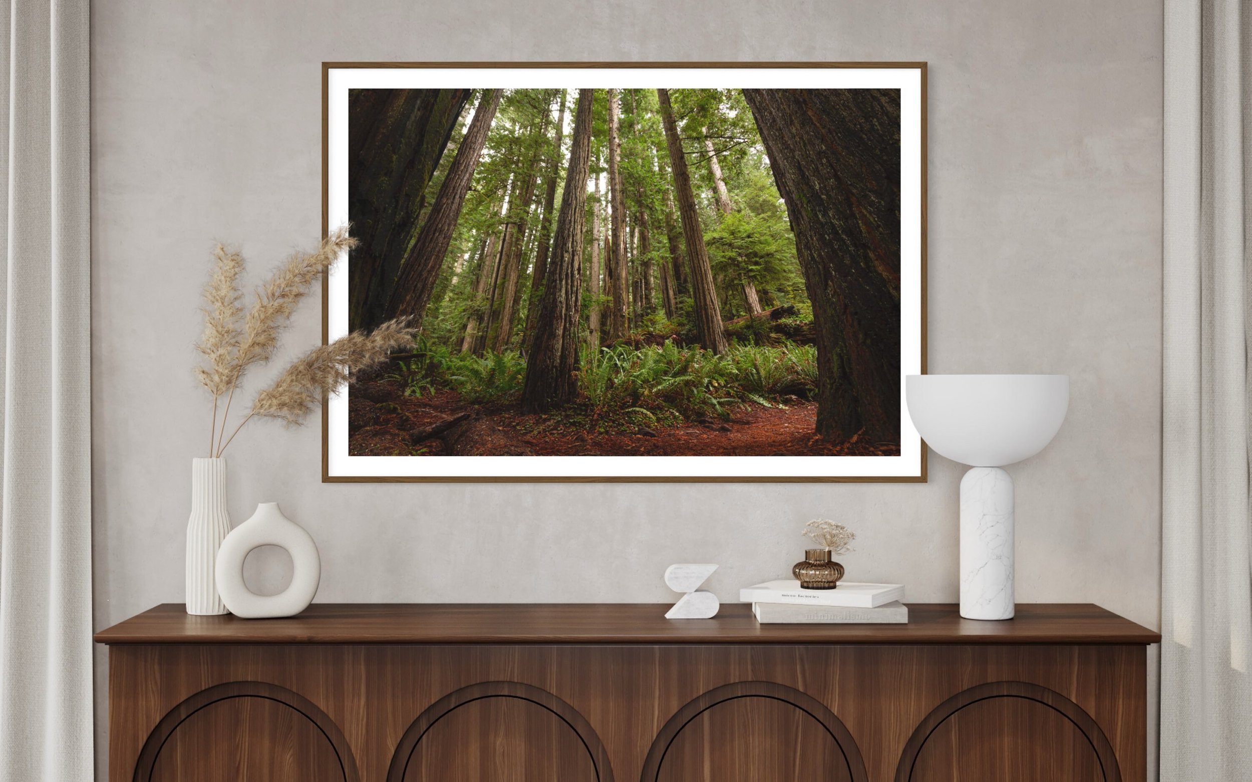 Prairie Creek Redwood Forest | Orick California Nature Wall Art Landscape Photography Trees Canvas Prints Metal