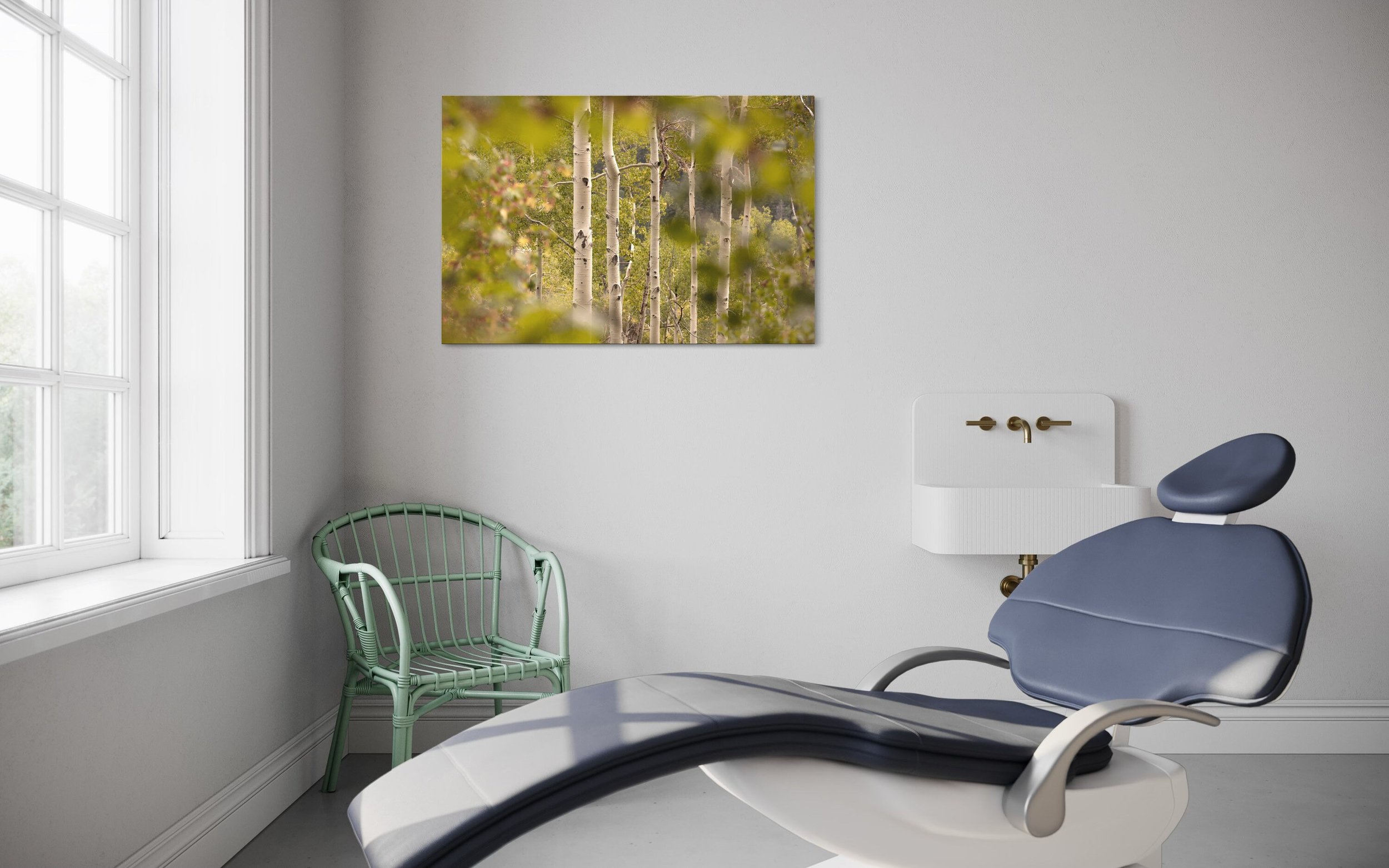 Aspen Trees | Colorado Photography Nature Wall Art Canvas Prints Metal Landscape Home and Office Decor