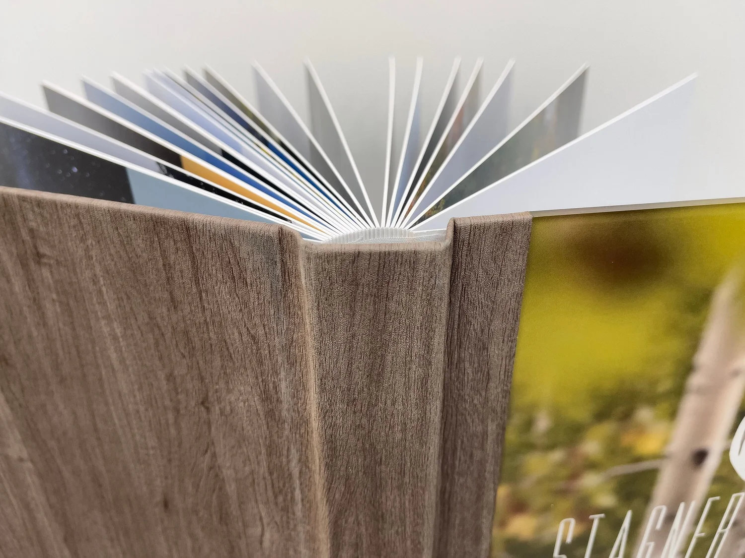 Detailed view of Adam Stagner’s Decade of Discovery book