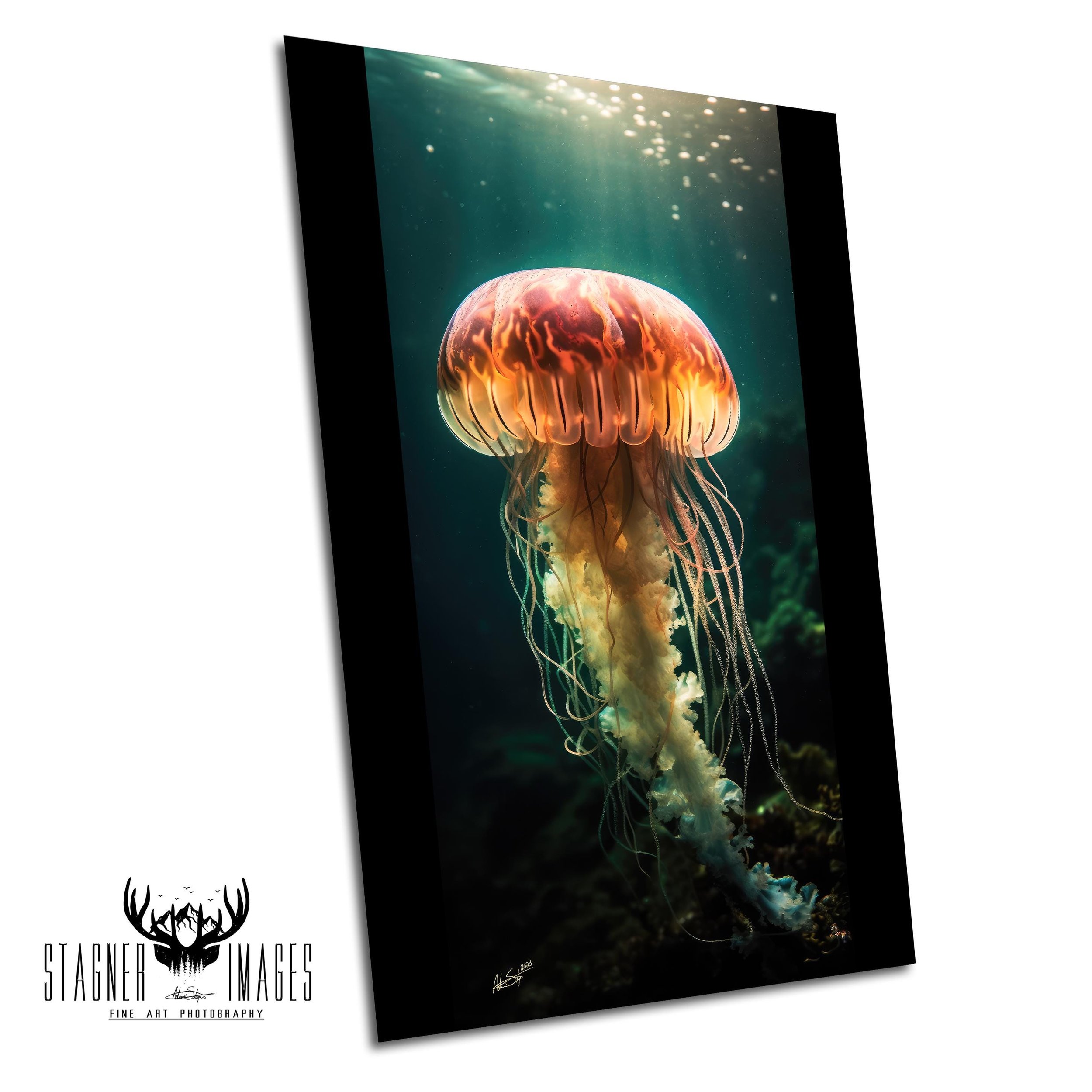 https://i.etsystatic.com/11993409/r/il/0dffaa/6383852684/il_fullxfull.6383852684_b38g.jpg