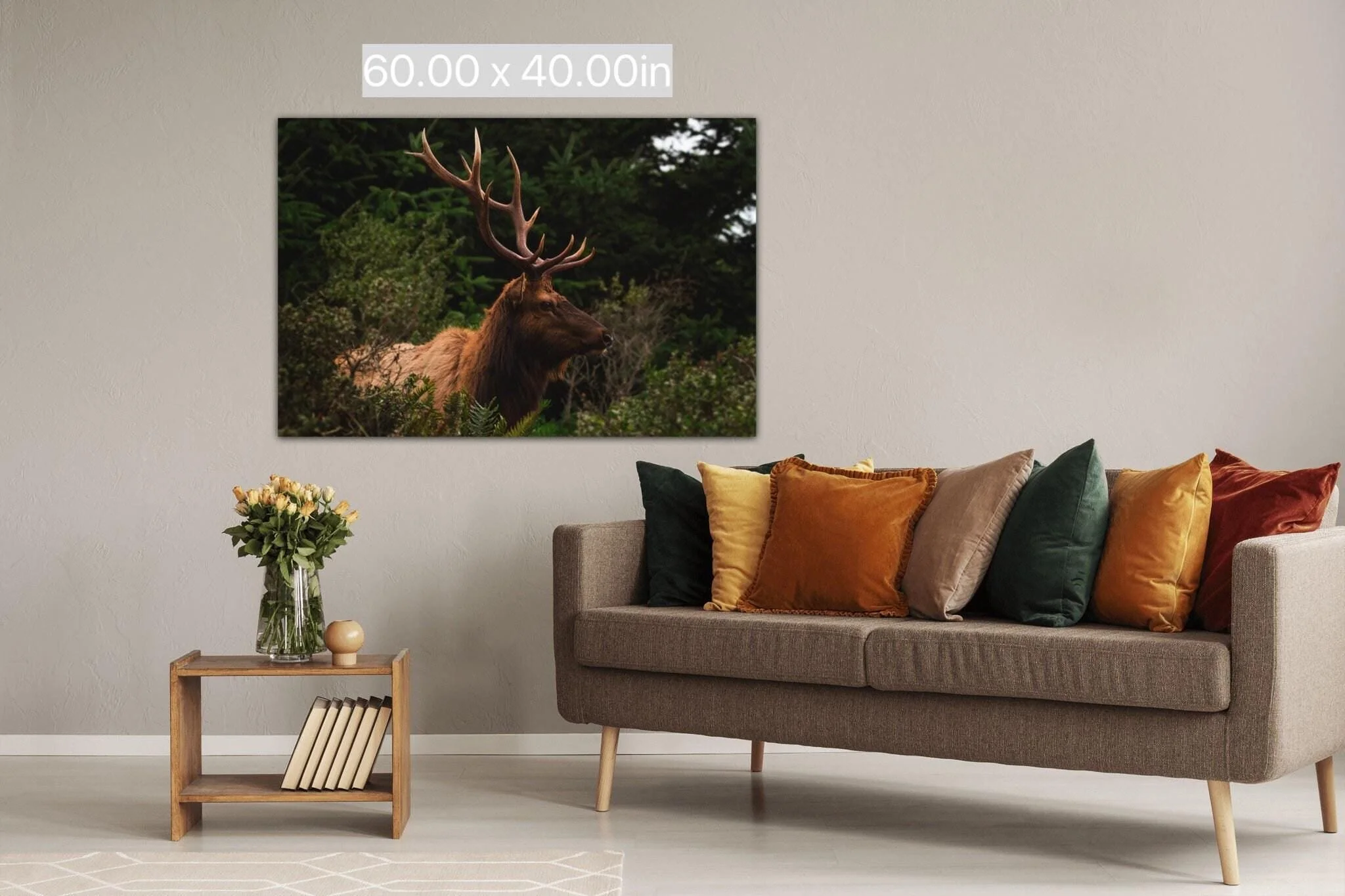 https://i.etsystatic.com/11993409/r/il/96850f/6433589917/il_fullxfull.6433589917_js5c.jpg