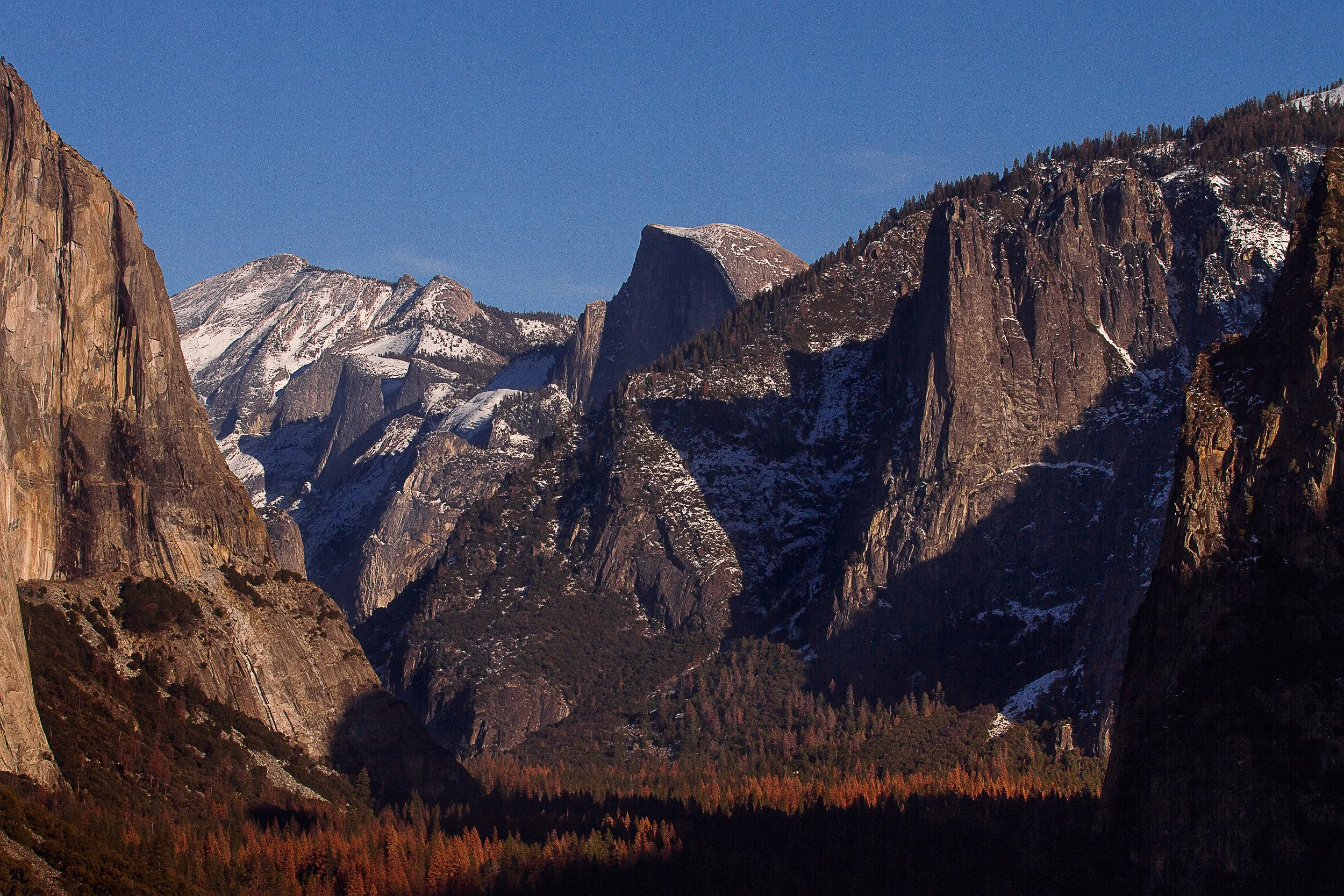_MG_6653.jpg