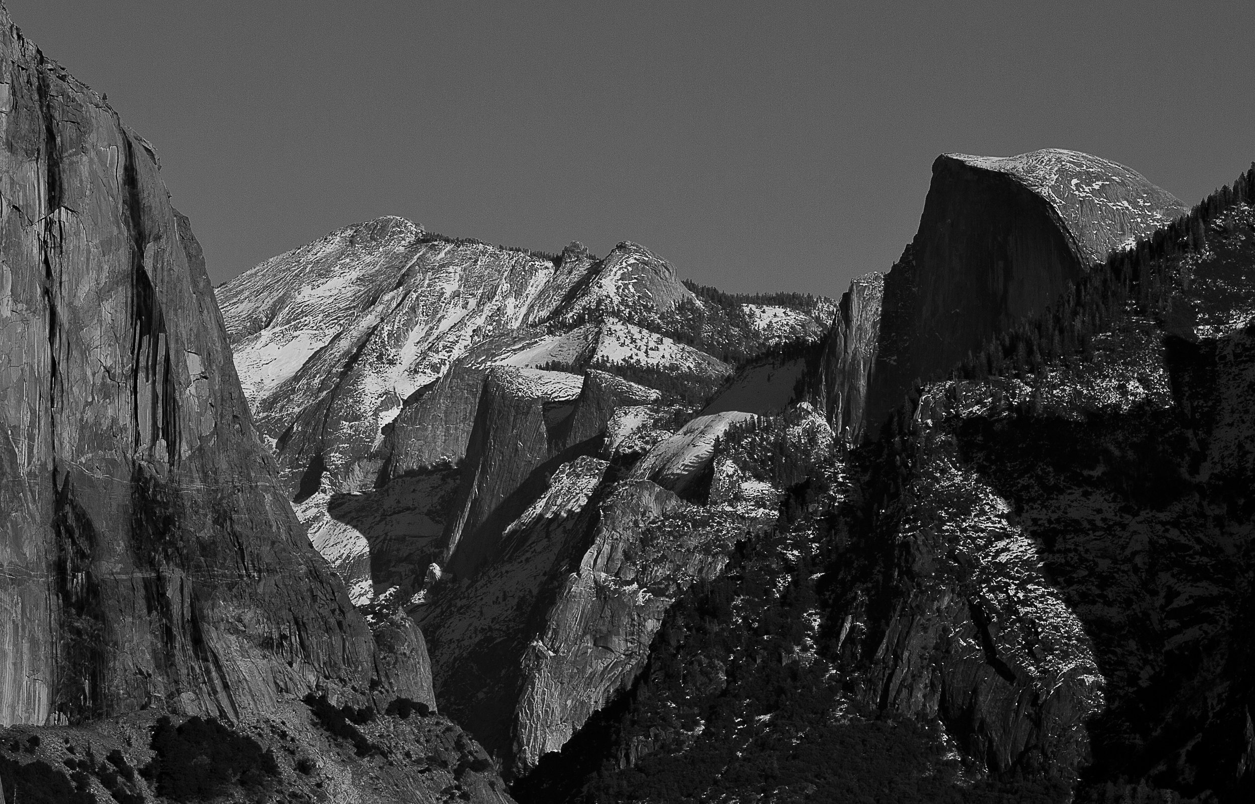_MG_6663 copy.jpg