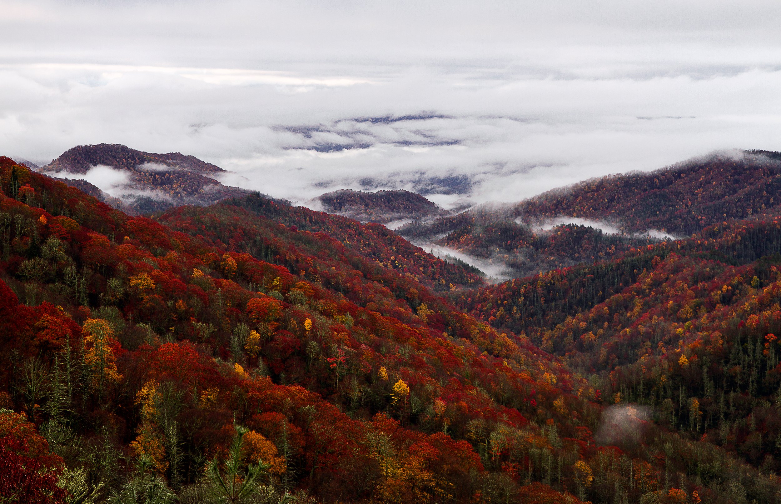 _MG_8501.jpg