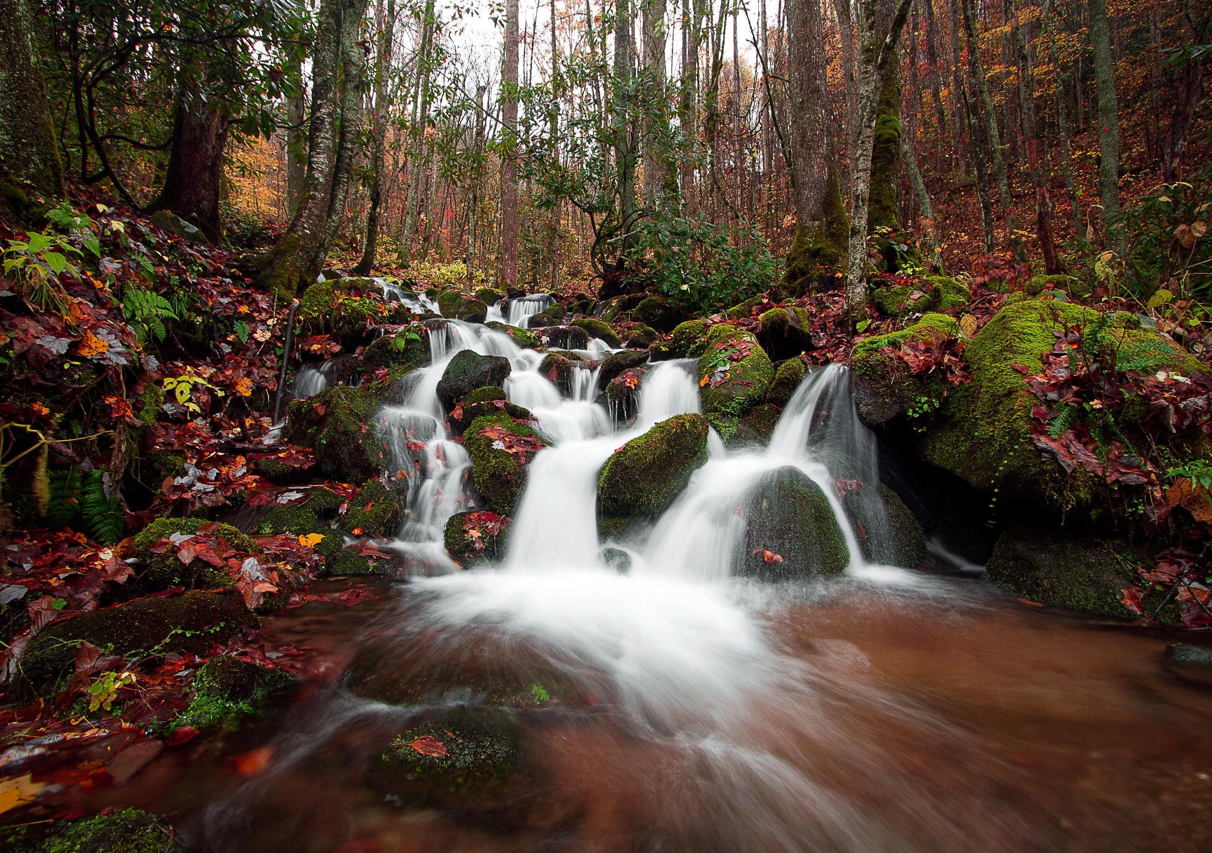 _MG_8517_2.0.jpg