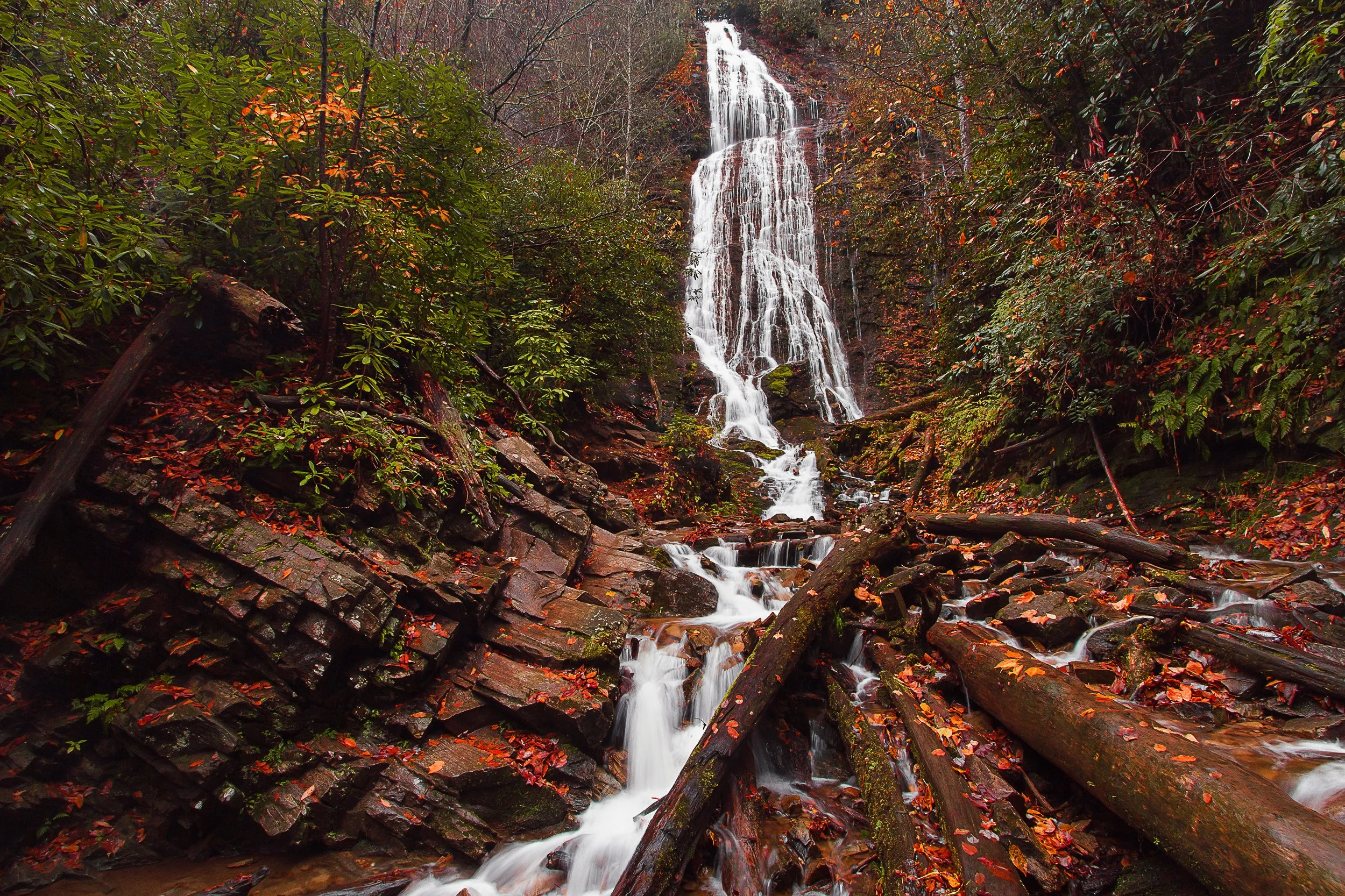 _MG_8537.jpg