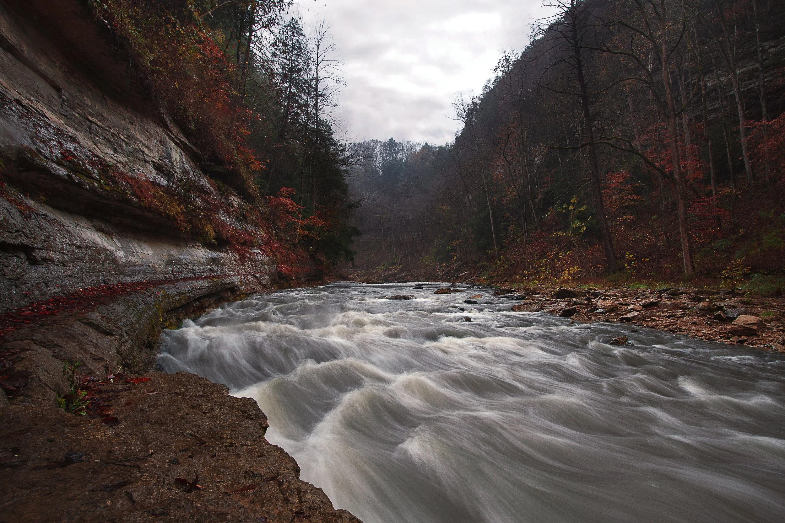_MG_8637.jpg