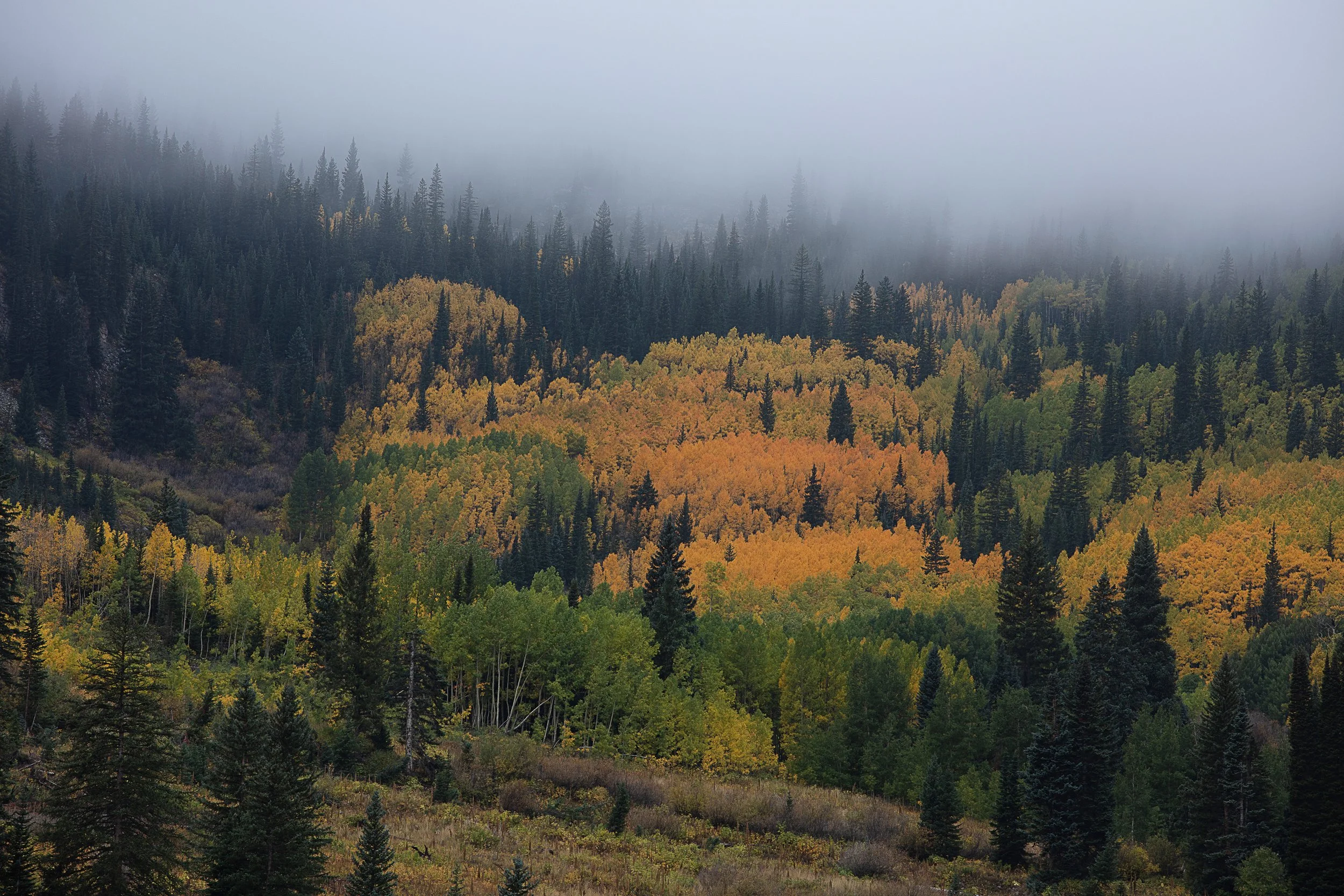 0S9A6348.jpg