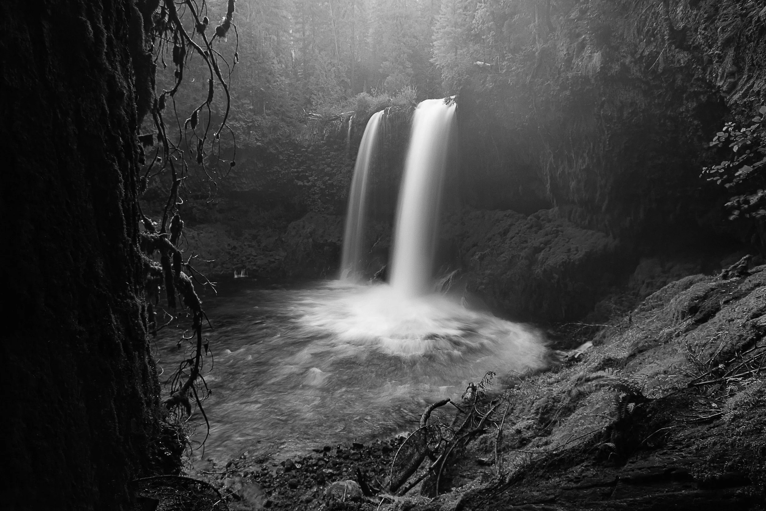 IMG_3216_BW.jpg