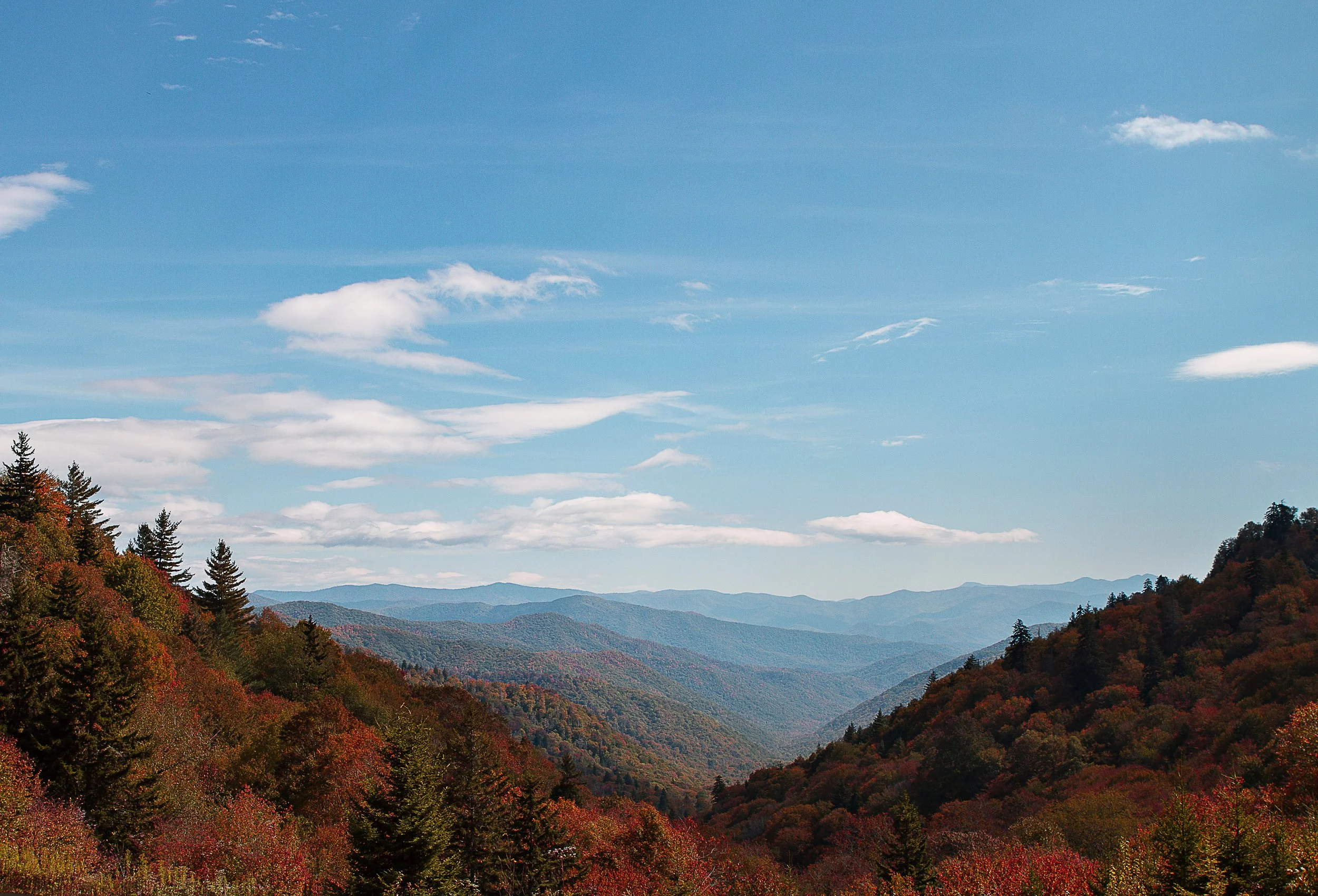 _MG_4918.jpg